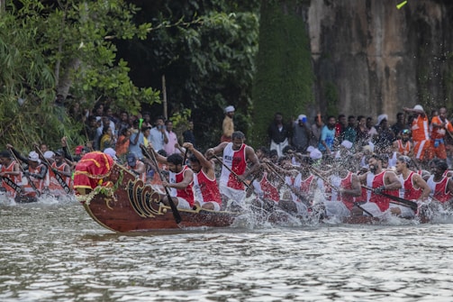 a group of people rowing boats