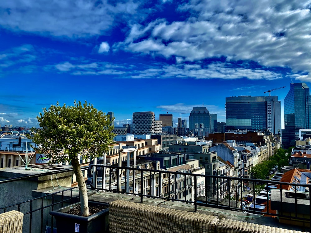 Un horizon de la ville avec un arbre