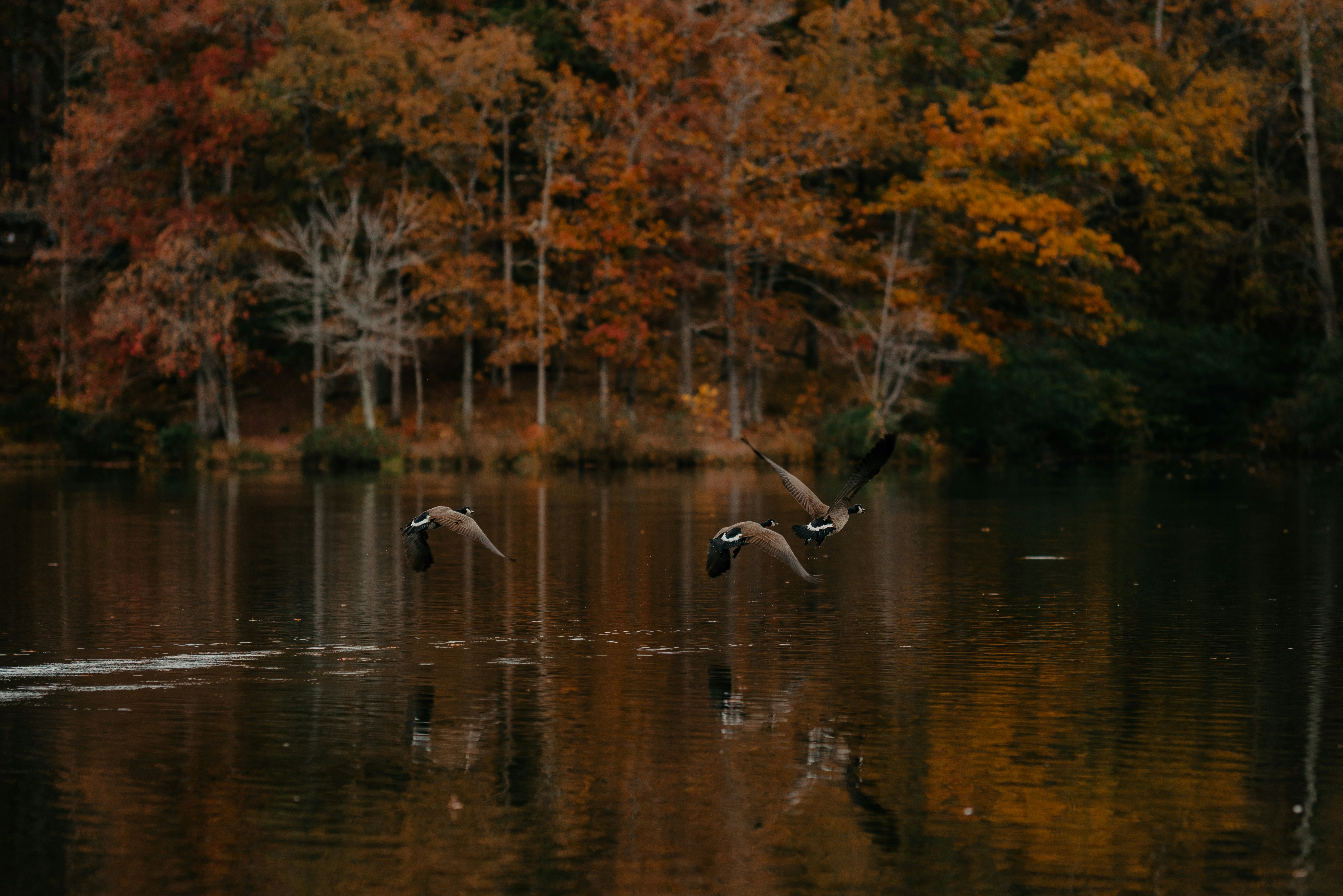 Photo by colemangloverphotography