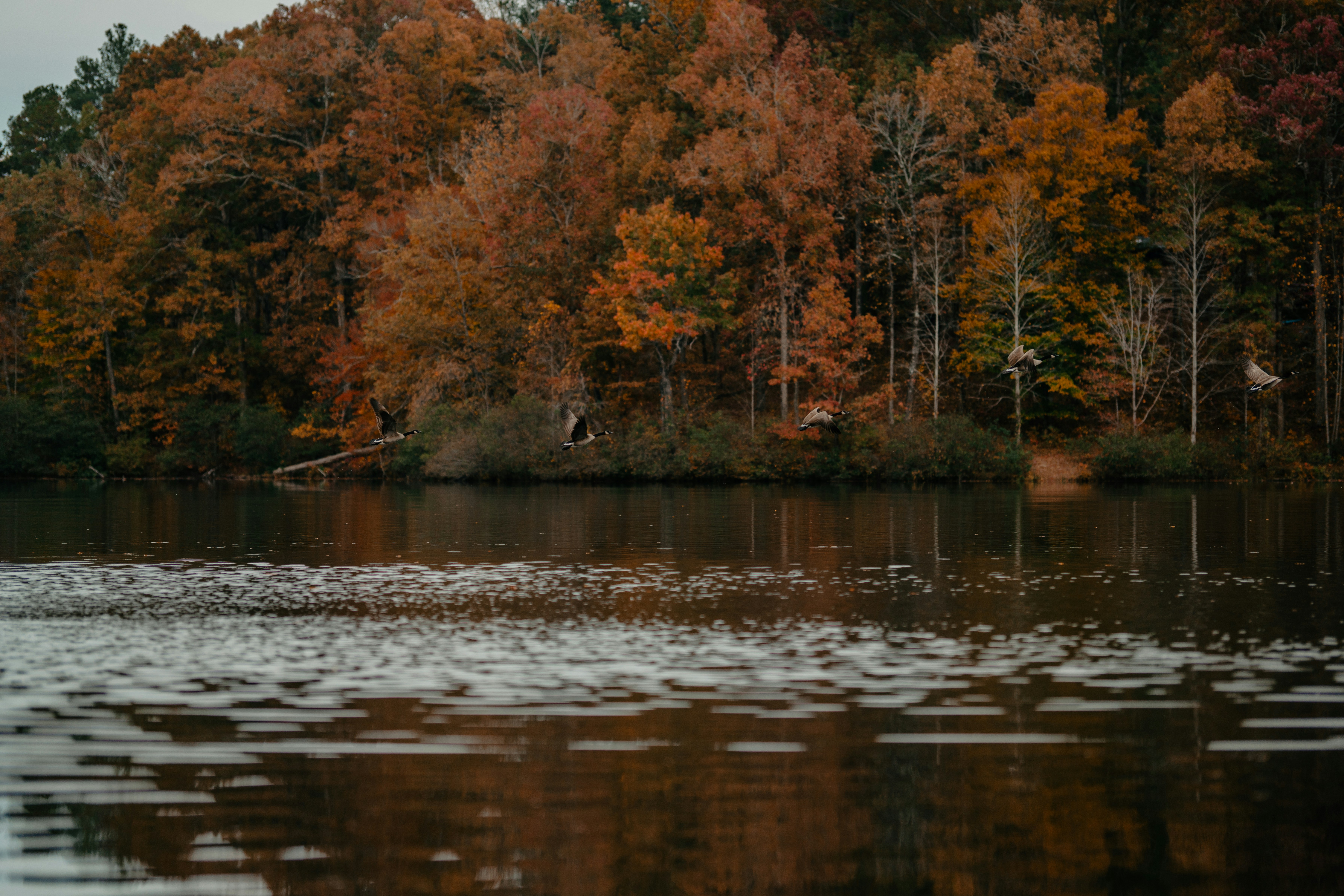 Photo by colemangloverphotography