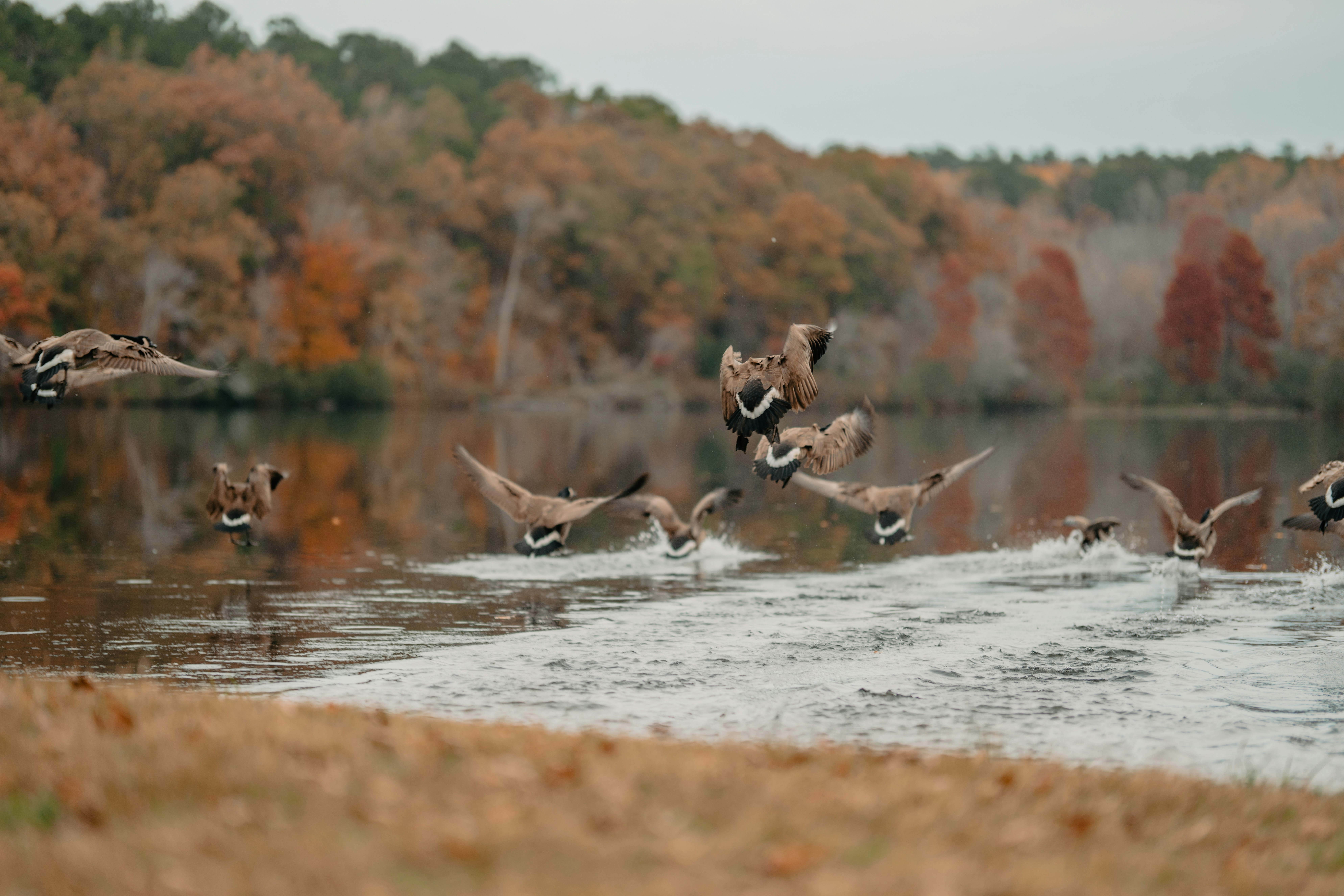 Photo by colemangloverphotography