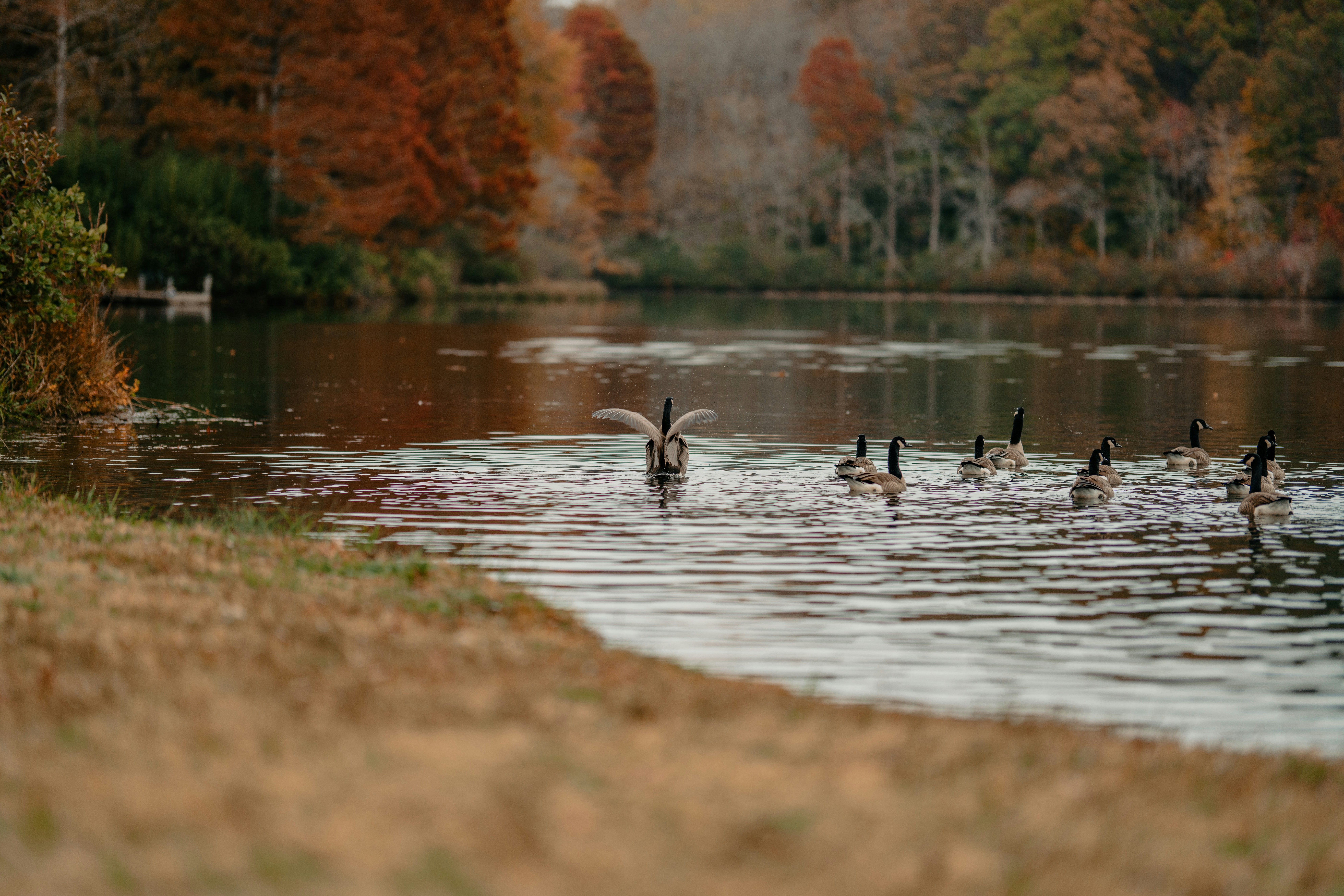 Photo by colemangloverphotography