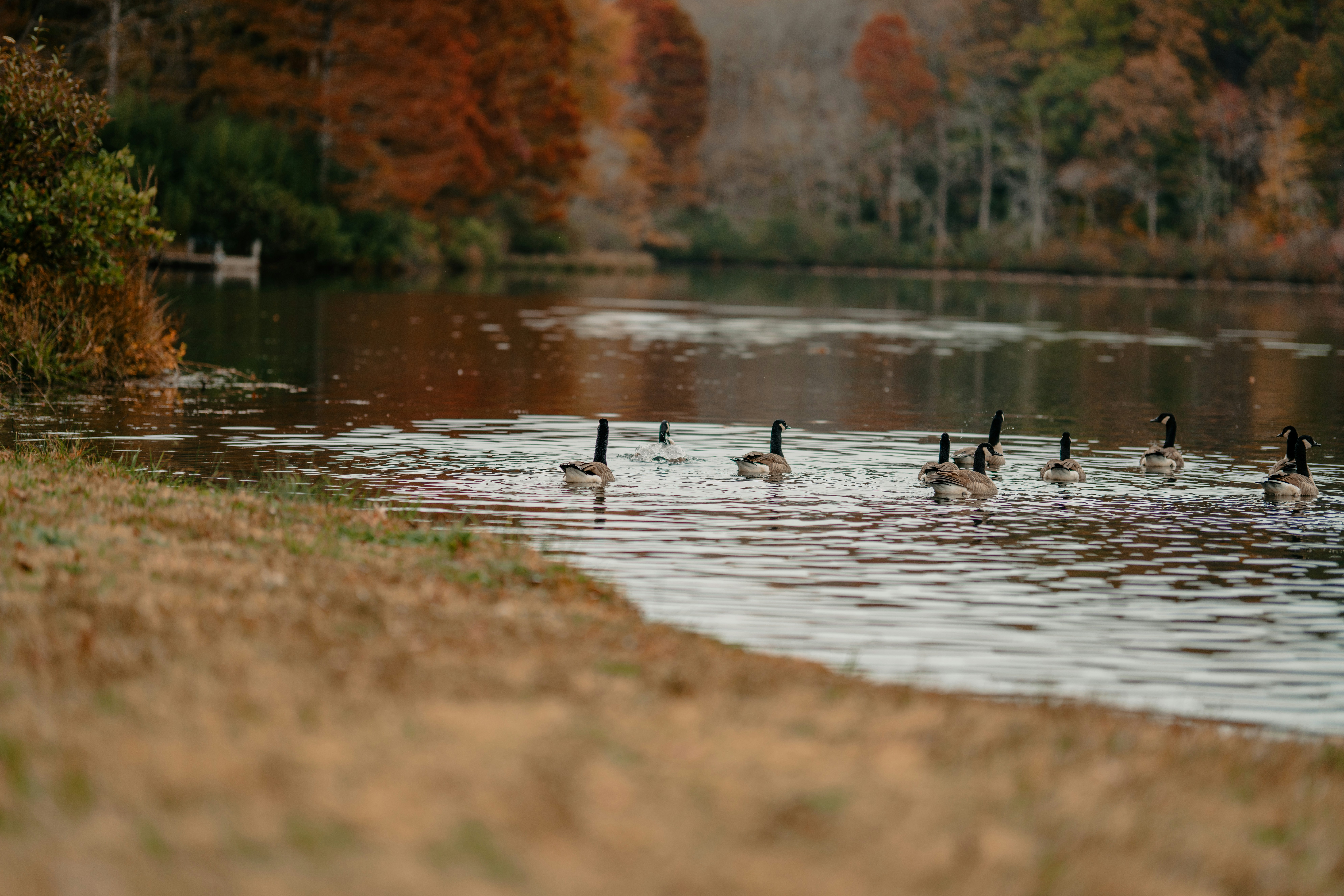 Photo by colemangloverphotography
