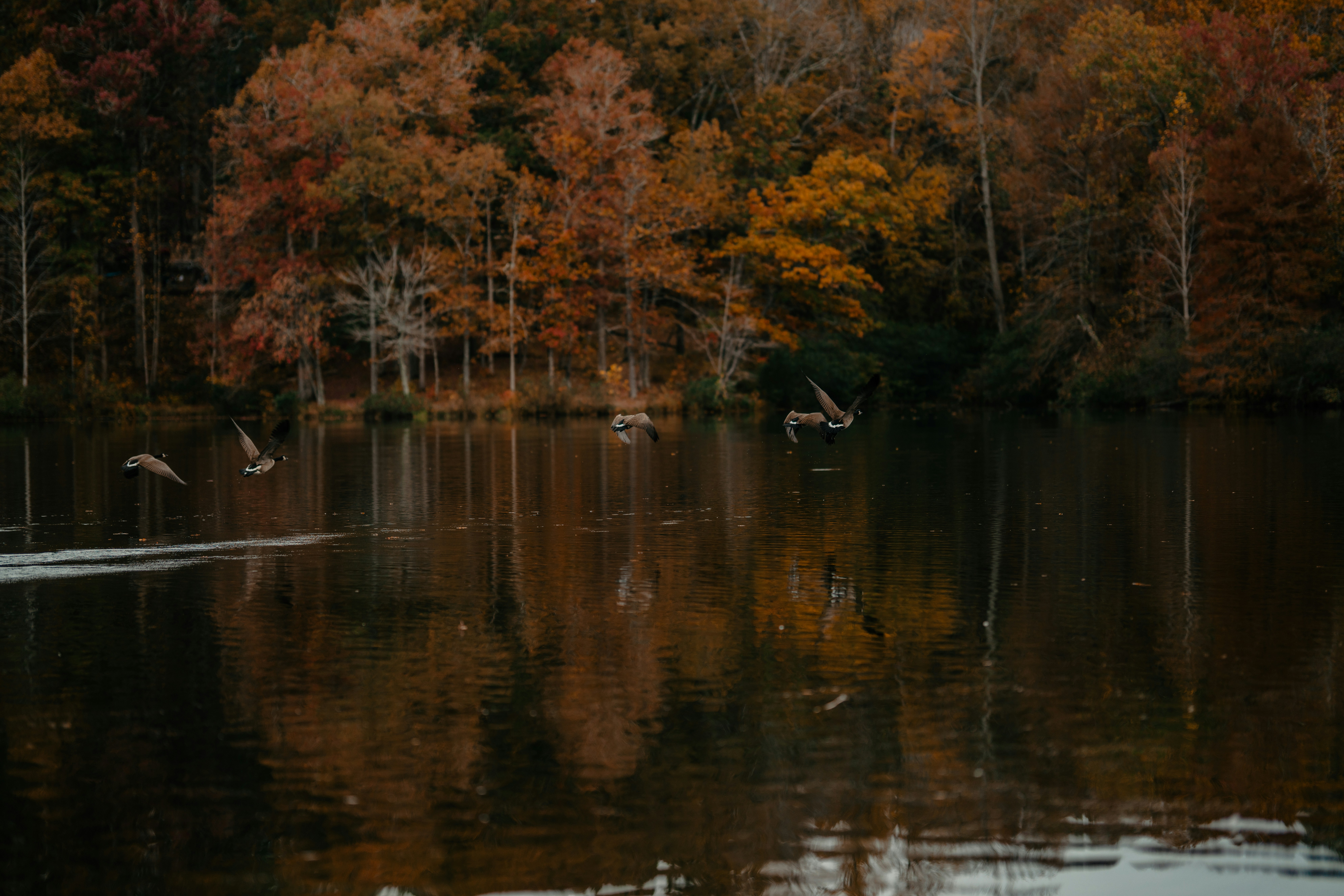 Photo by colemangloverphotography