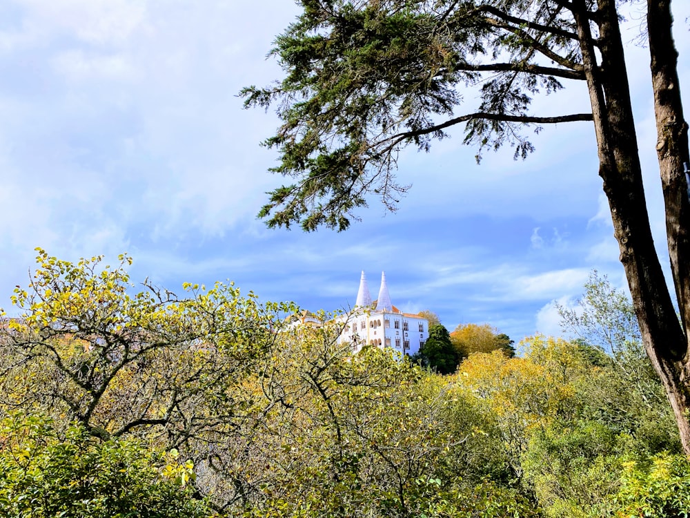 a building behind trees