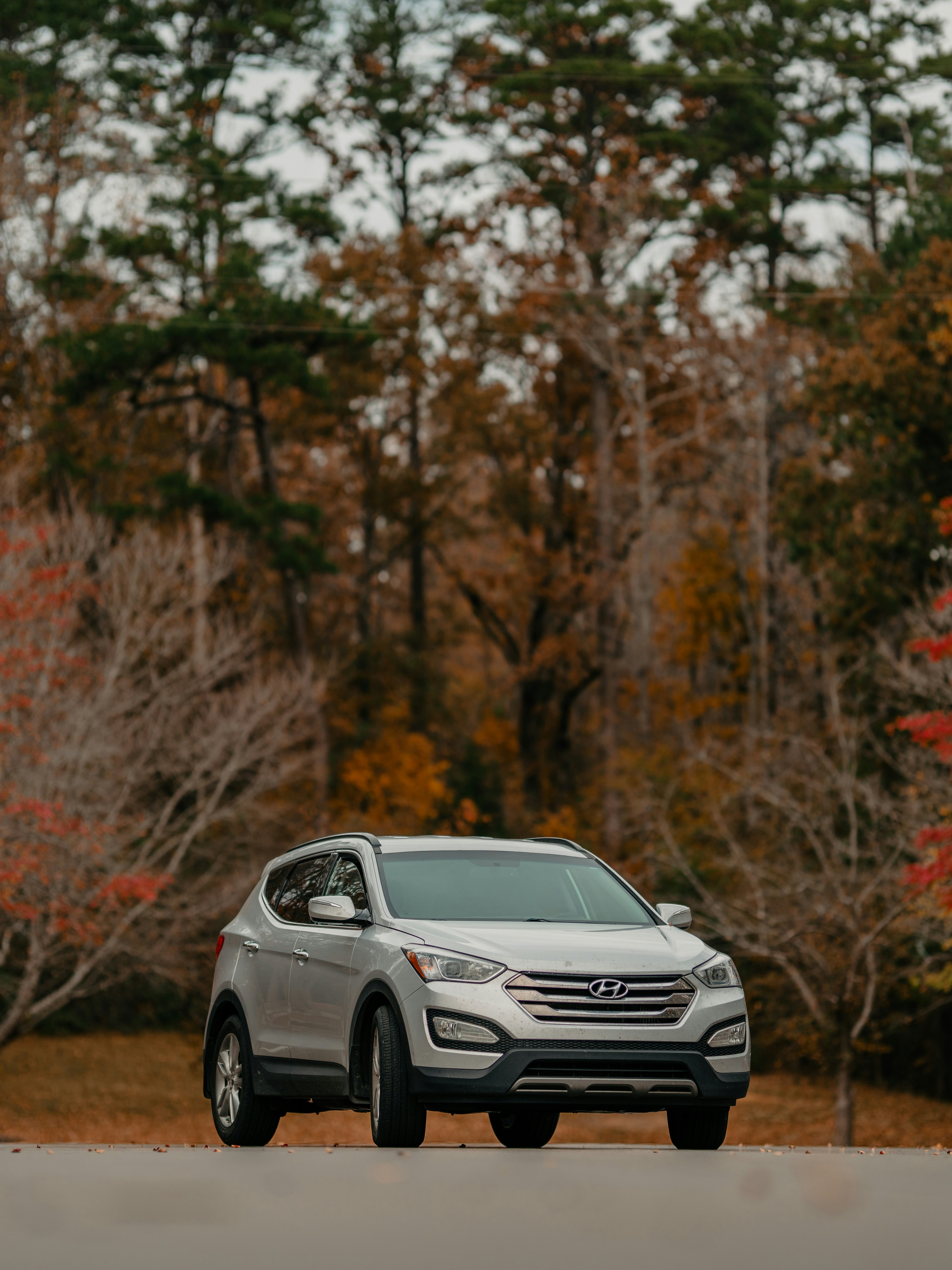 Photo by colemangloverphotography