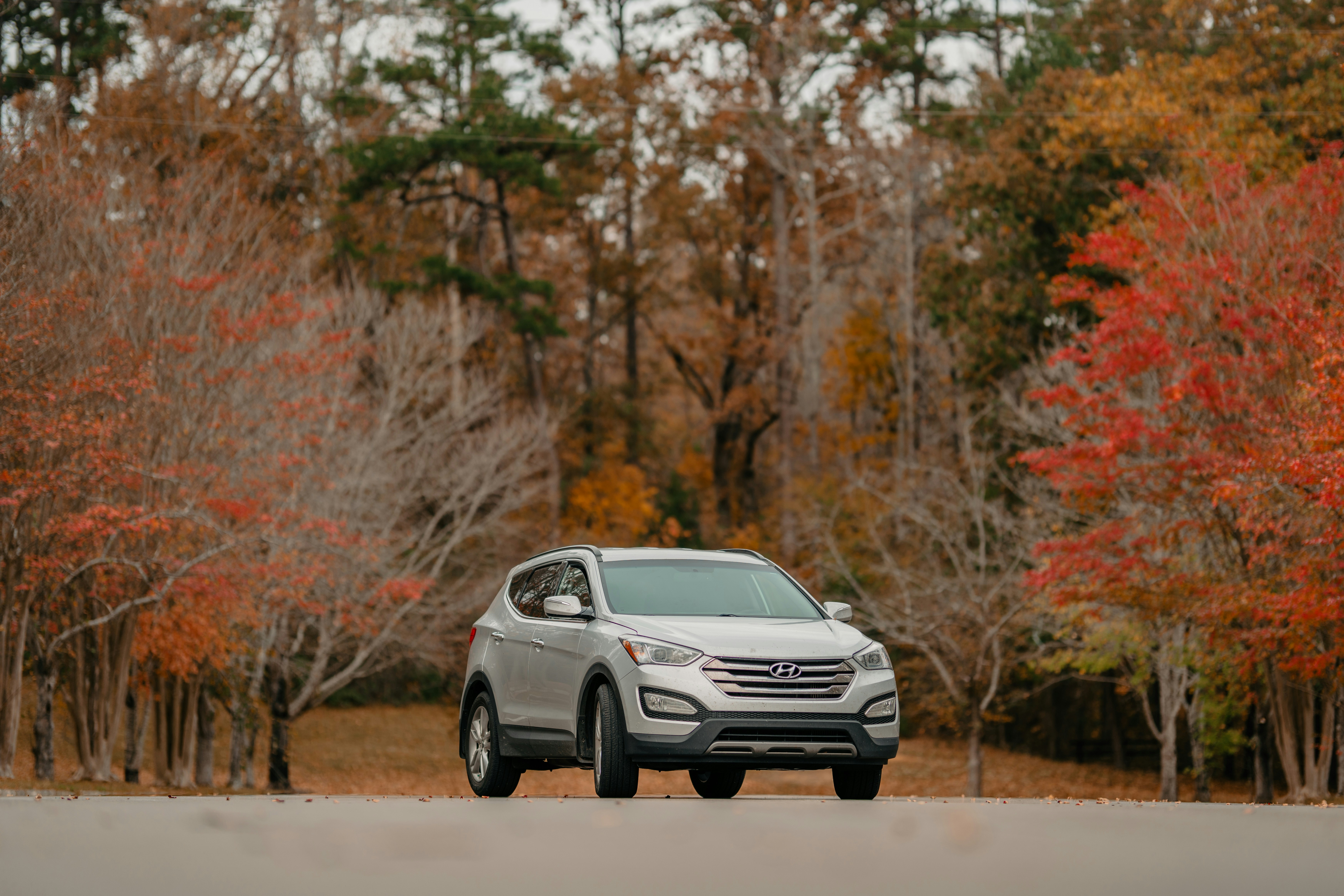 Photo by colemangloverphotography