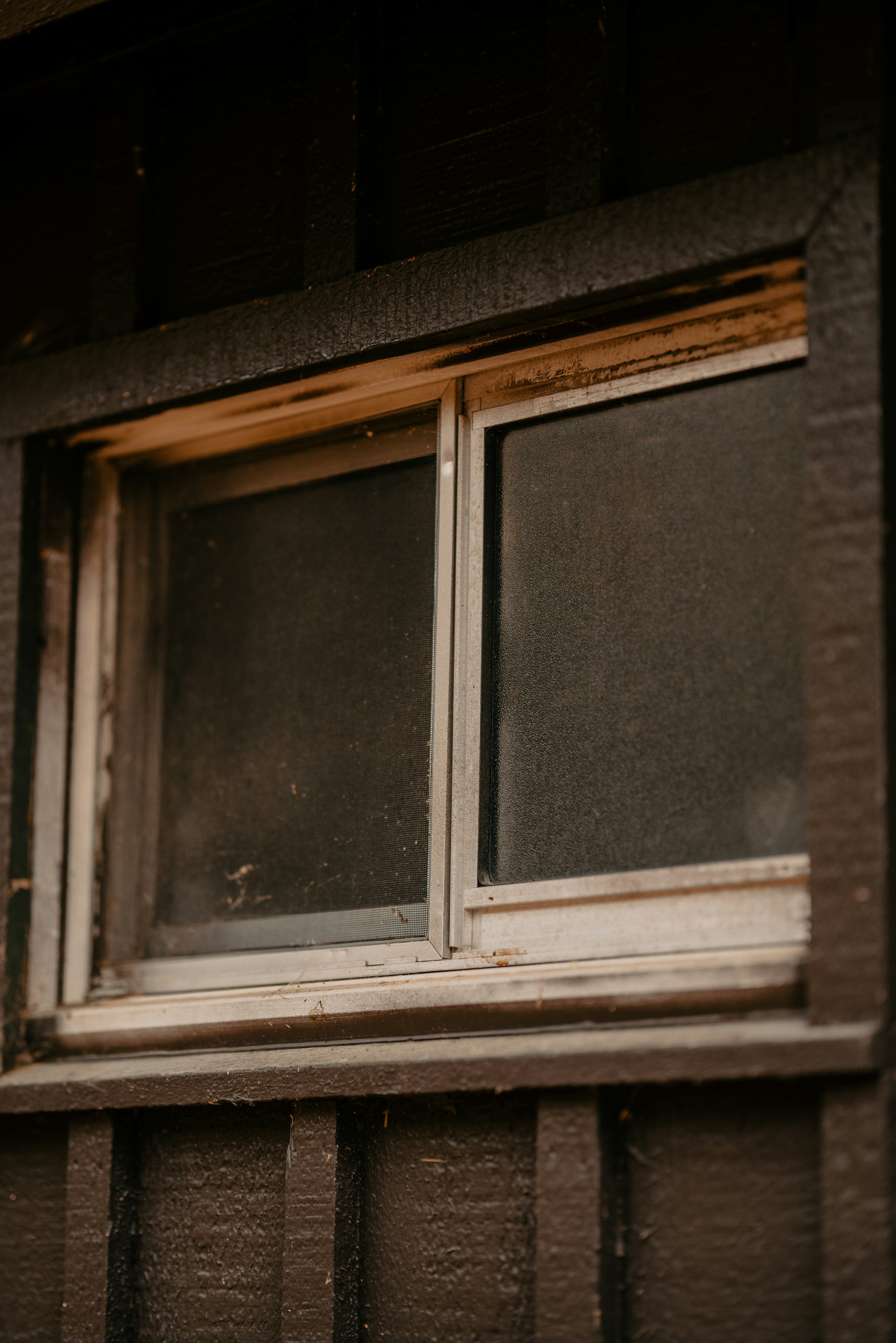 Photo by colemangloverphotography