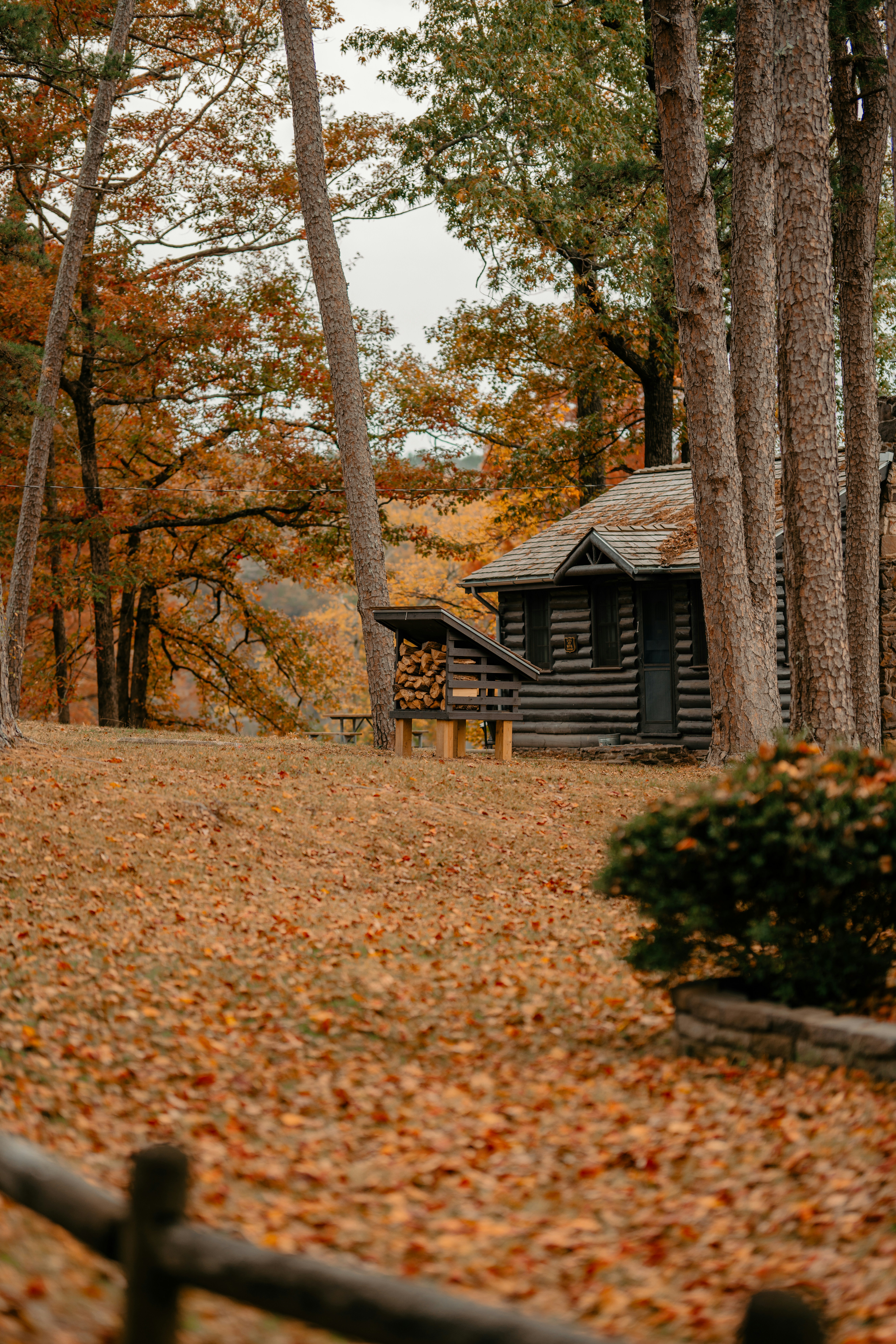 Photo by colemangloverphotography