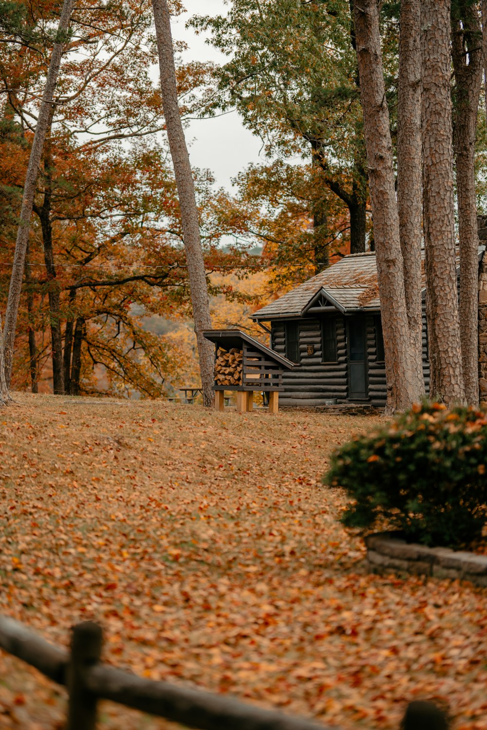 a small house in the woods