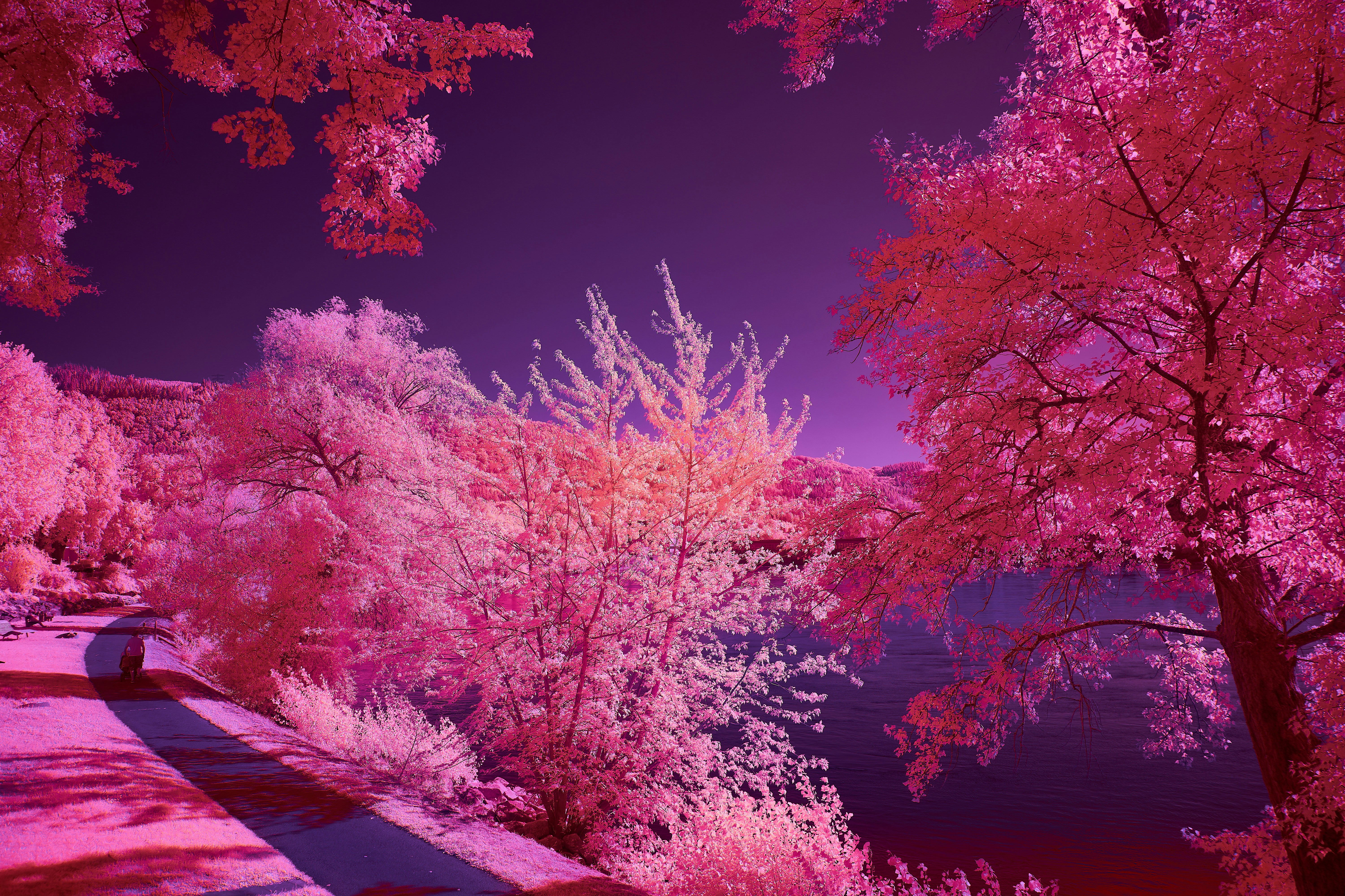 Photo by wolfgang_hasselmann