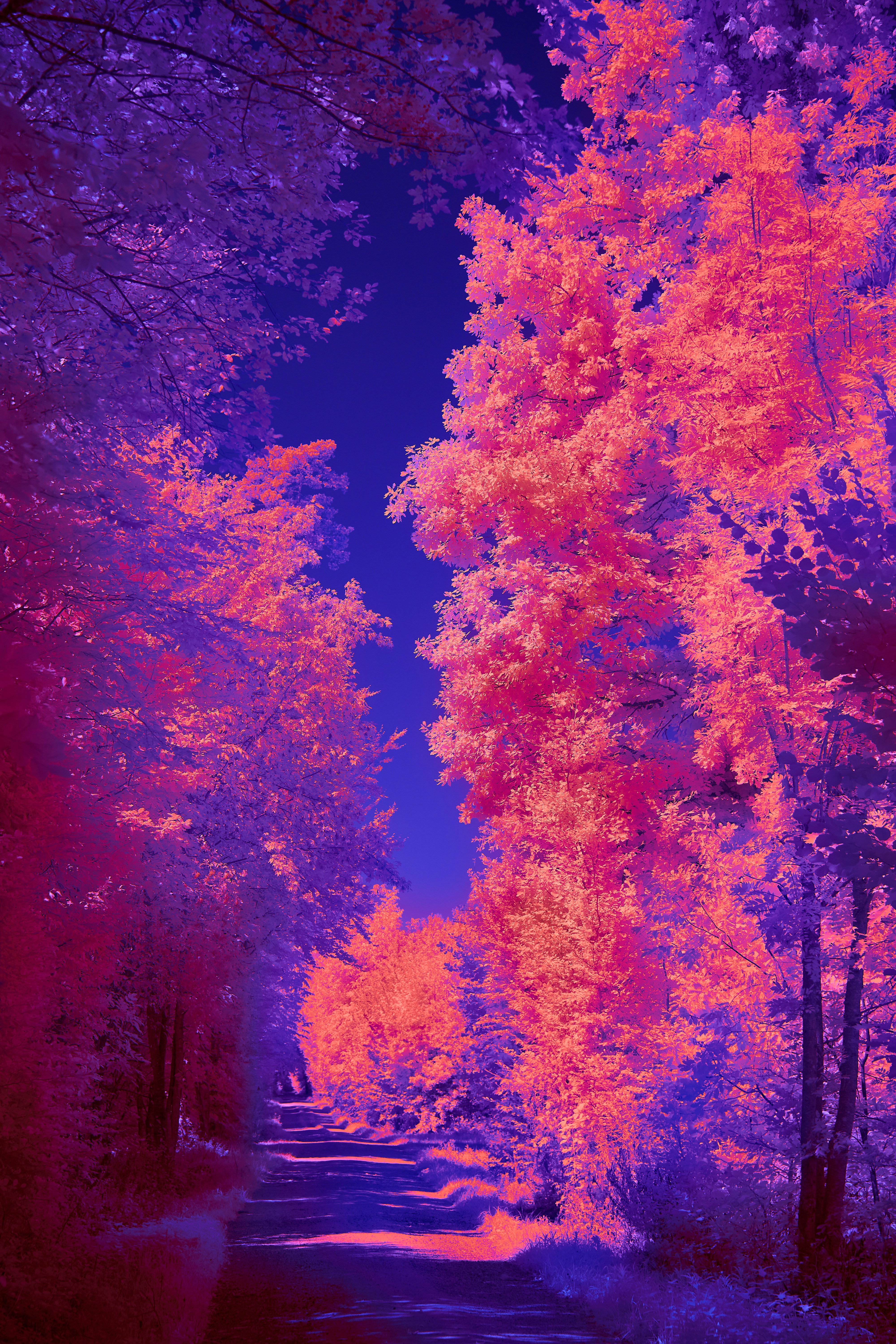 Photo by wolfgang_hasselmann