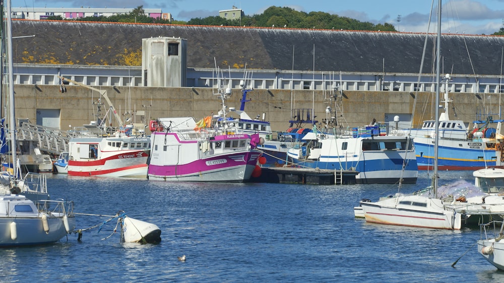 boats in the water