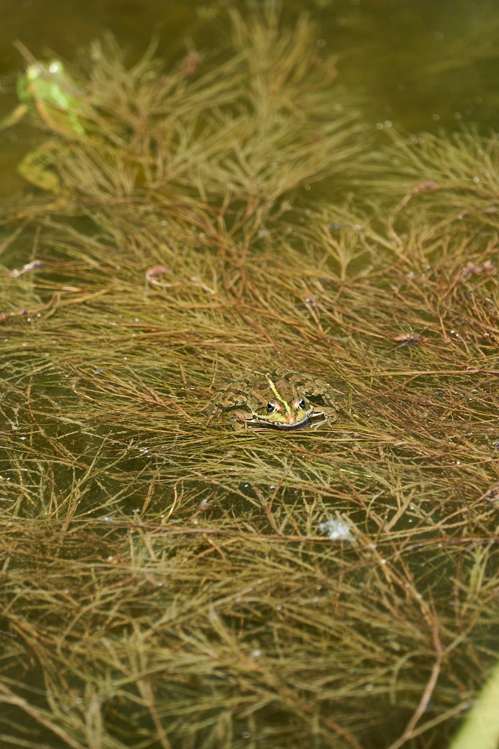 a group of people in a nest