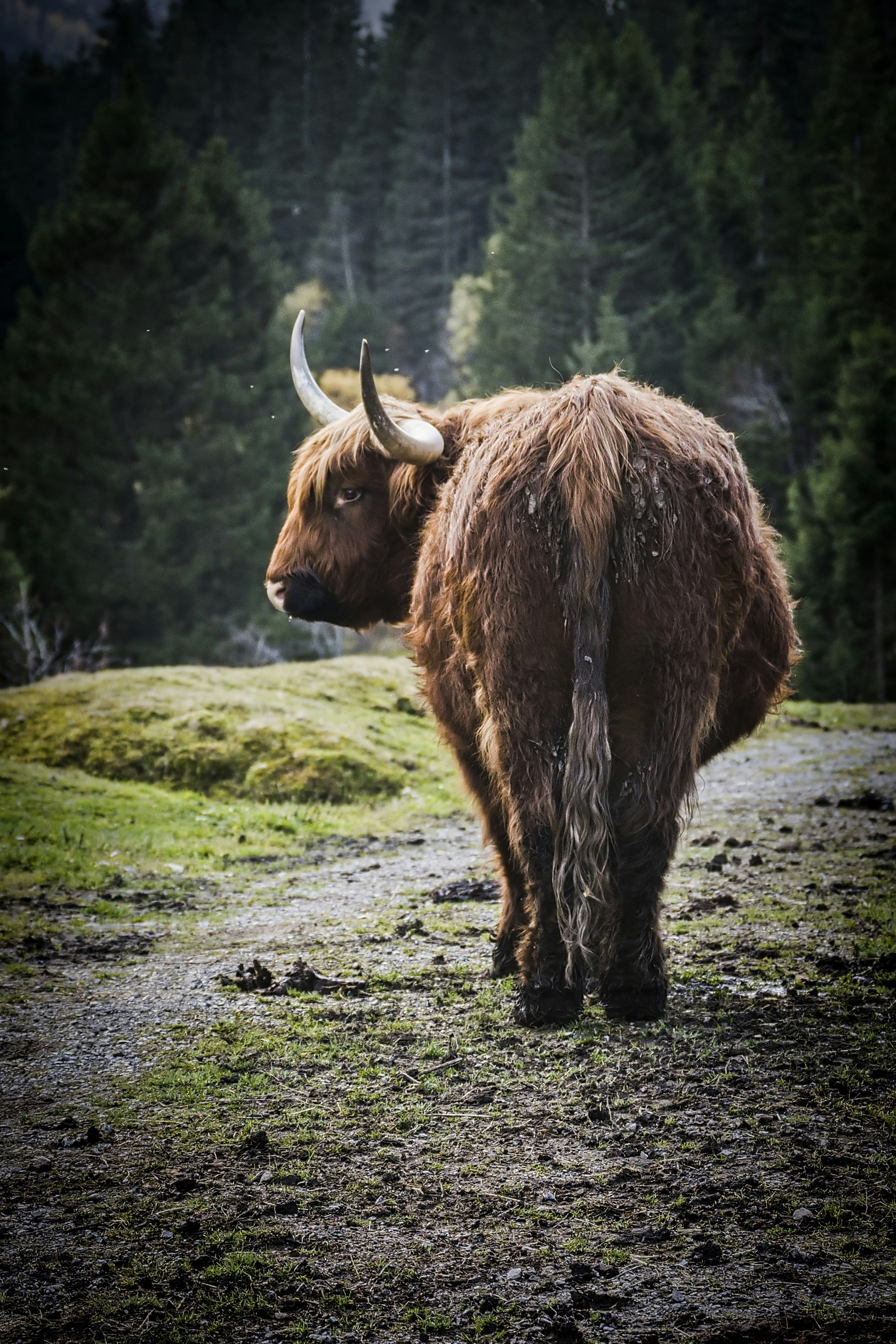 Photo by petrcaslava