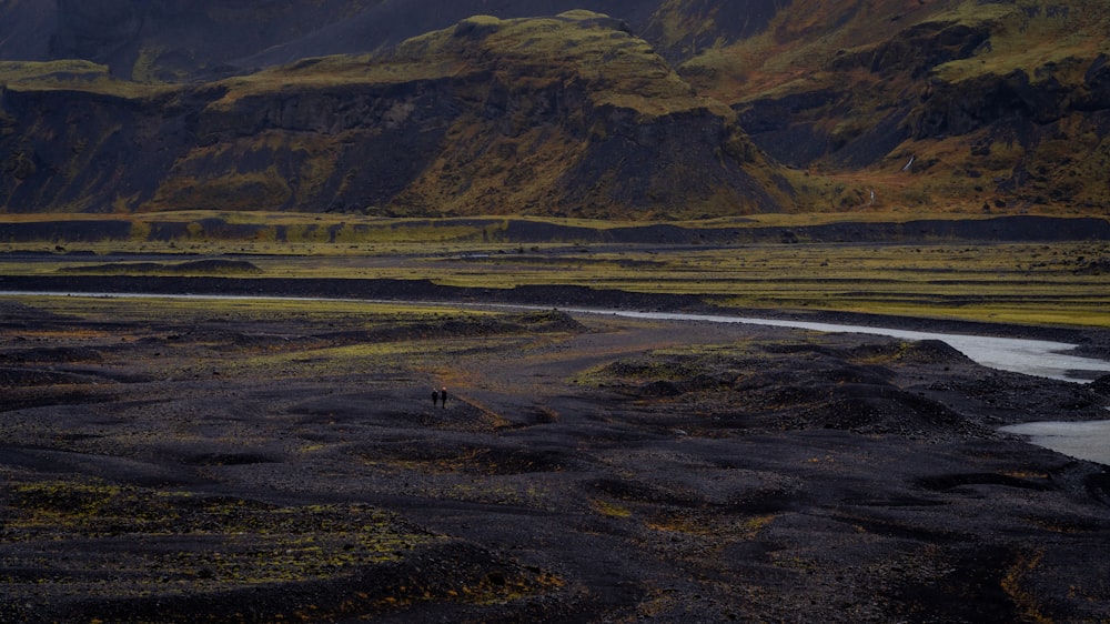 a large field with a stream running through it