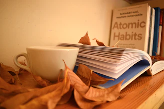 Atomic habits book productivity tips