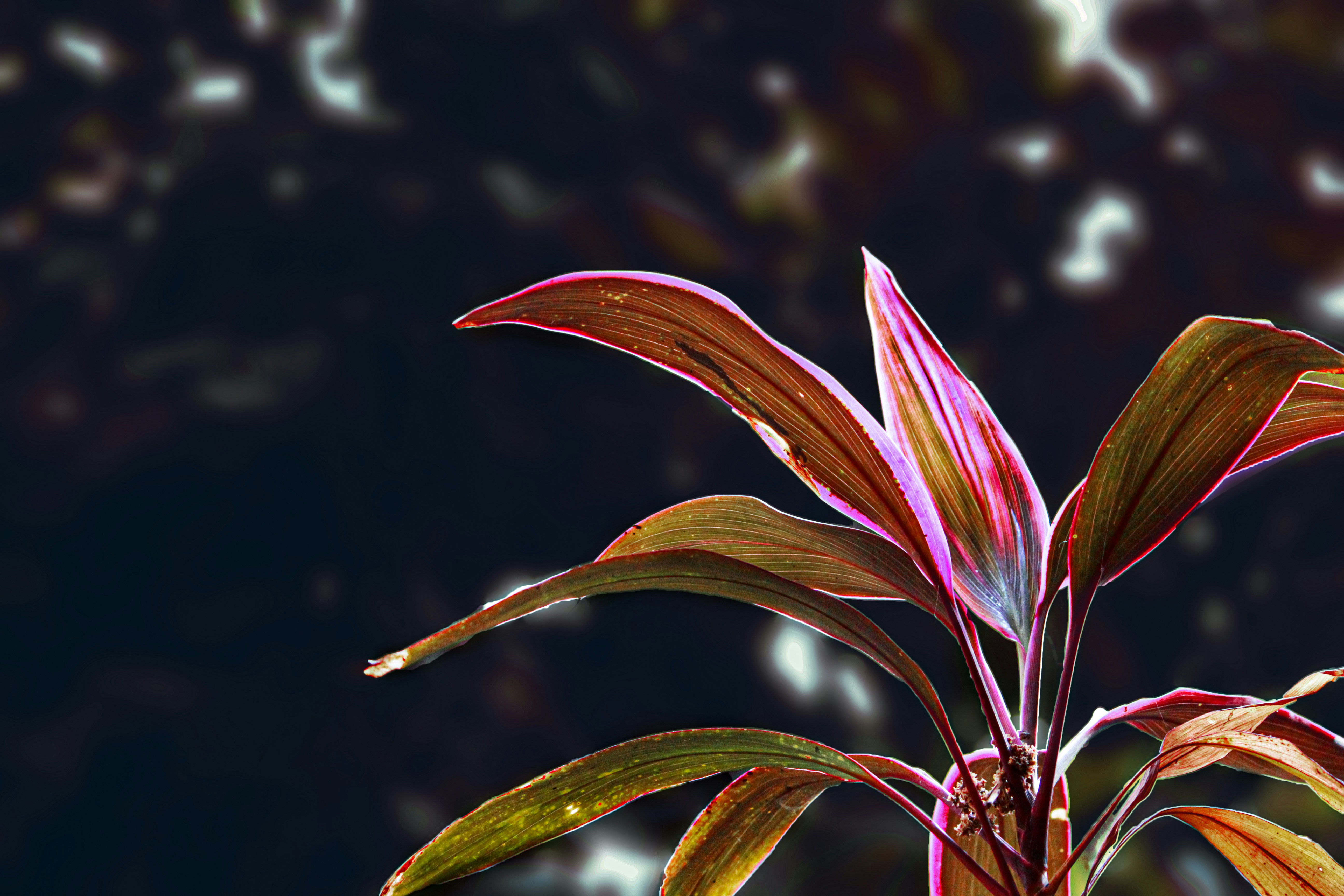 Photo by abhijeet_gourav