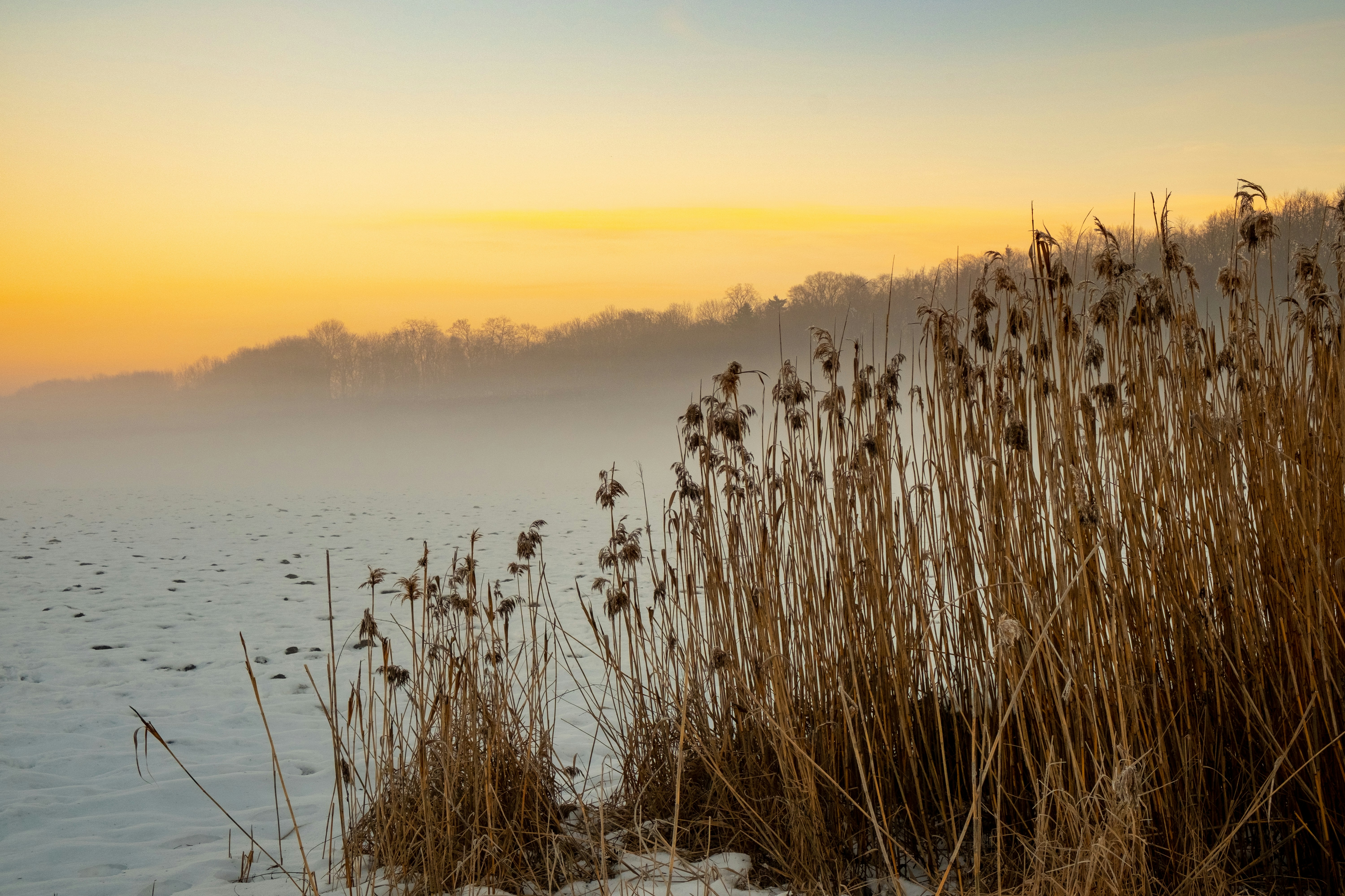 Photo by davotibarna