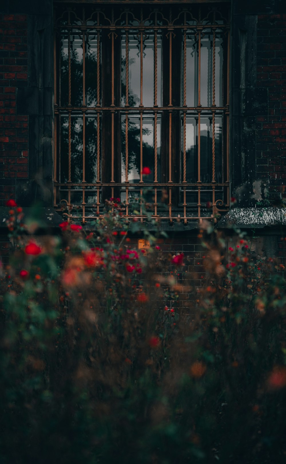 a gate with red flowers