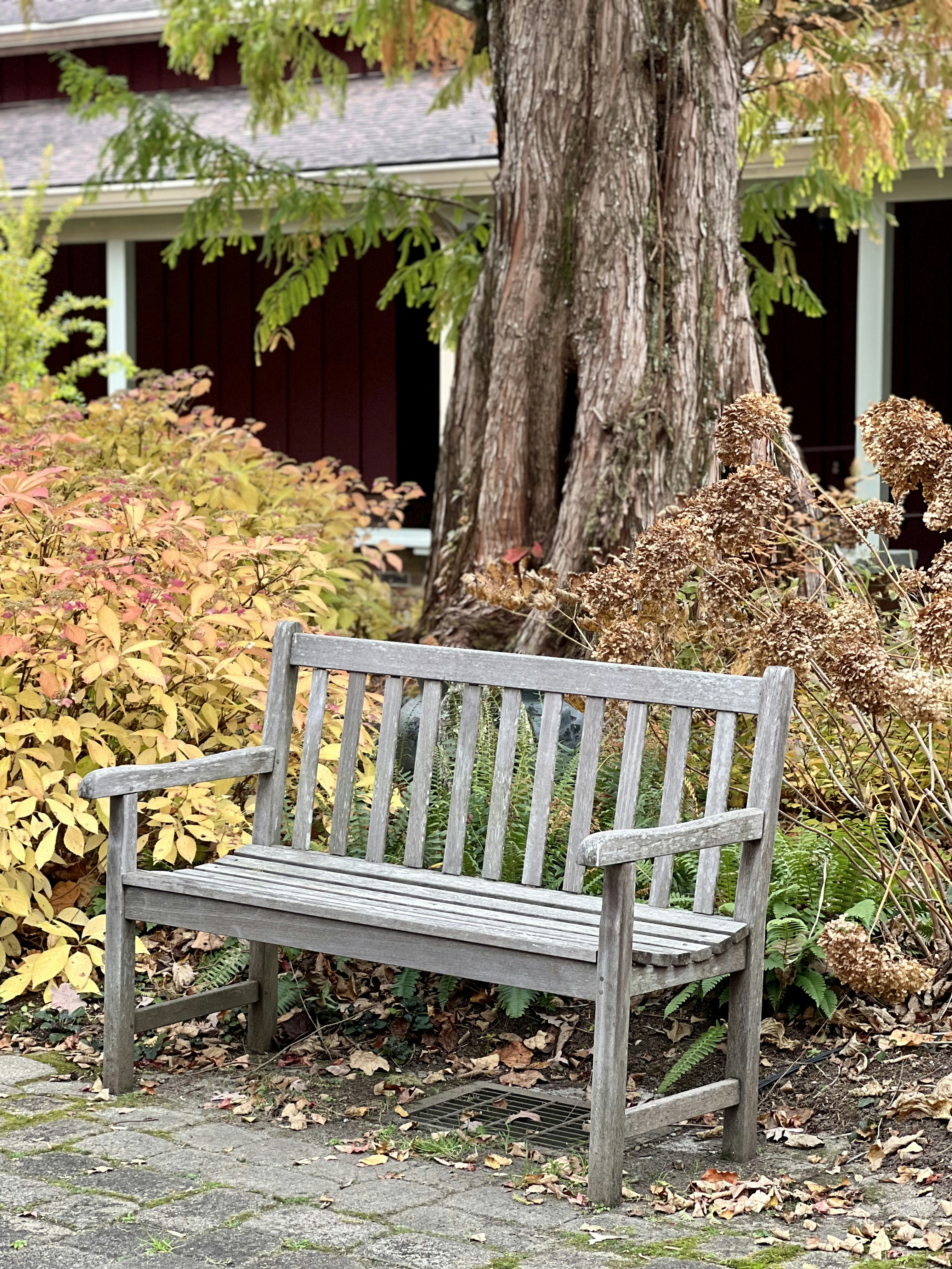 un banc est inoccupé