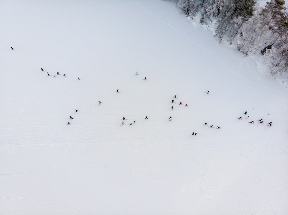 a group of people skiing down a mountain