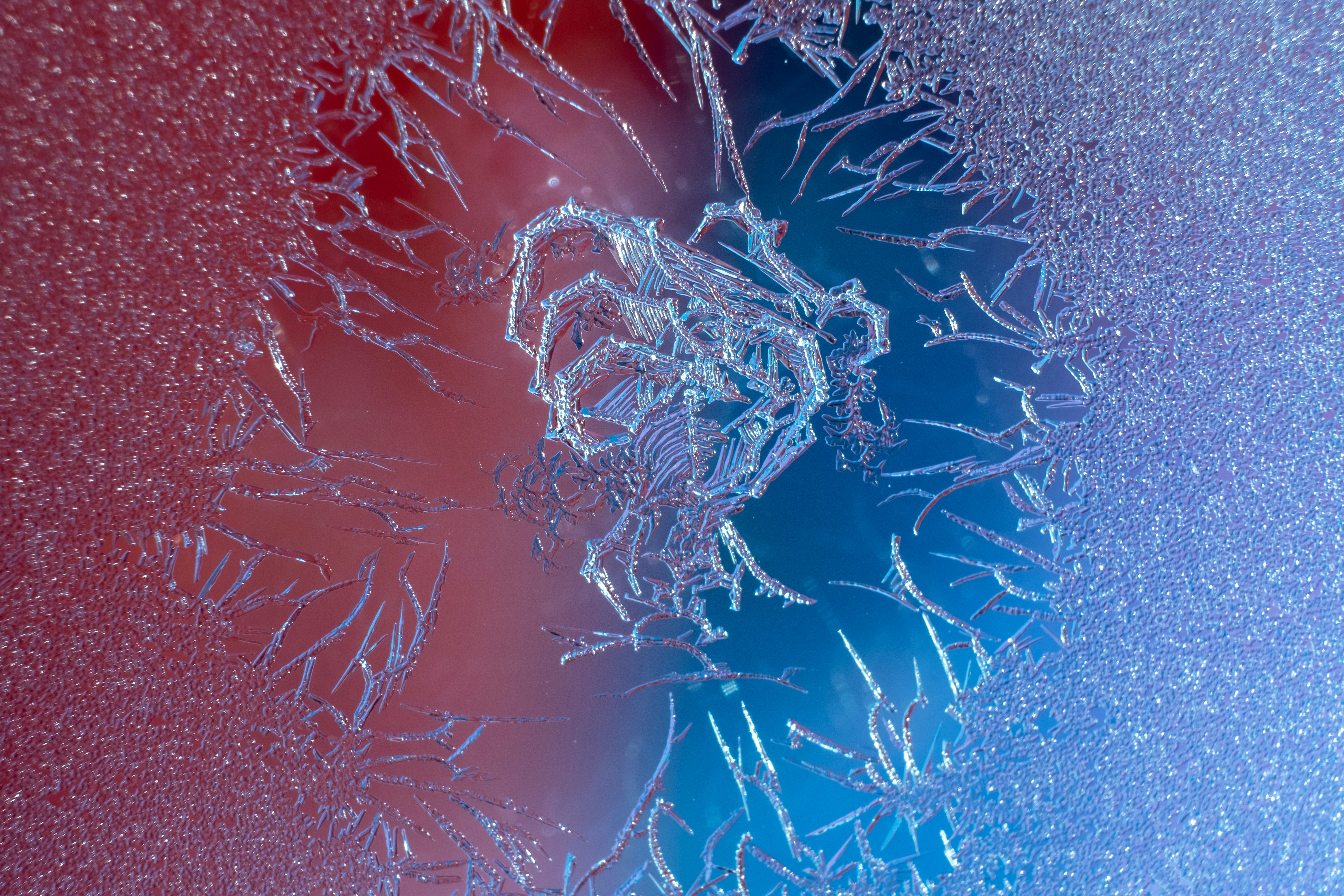 Photo by davotibarna