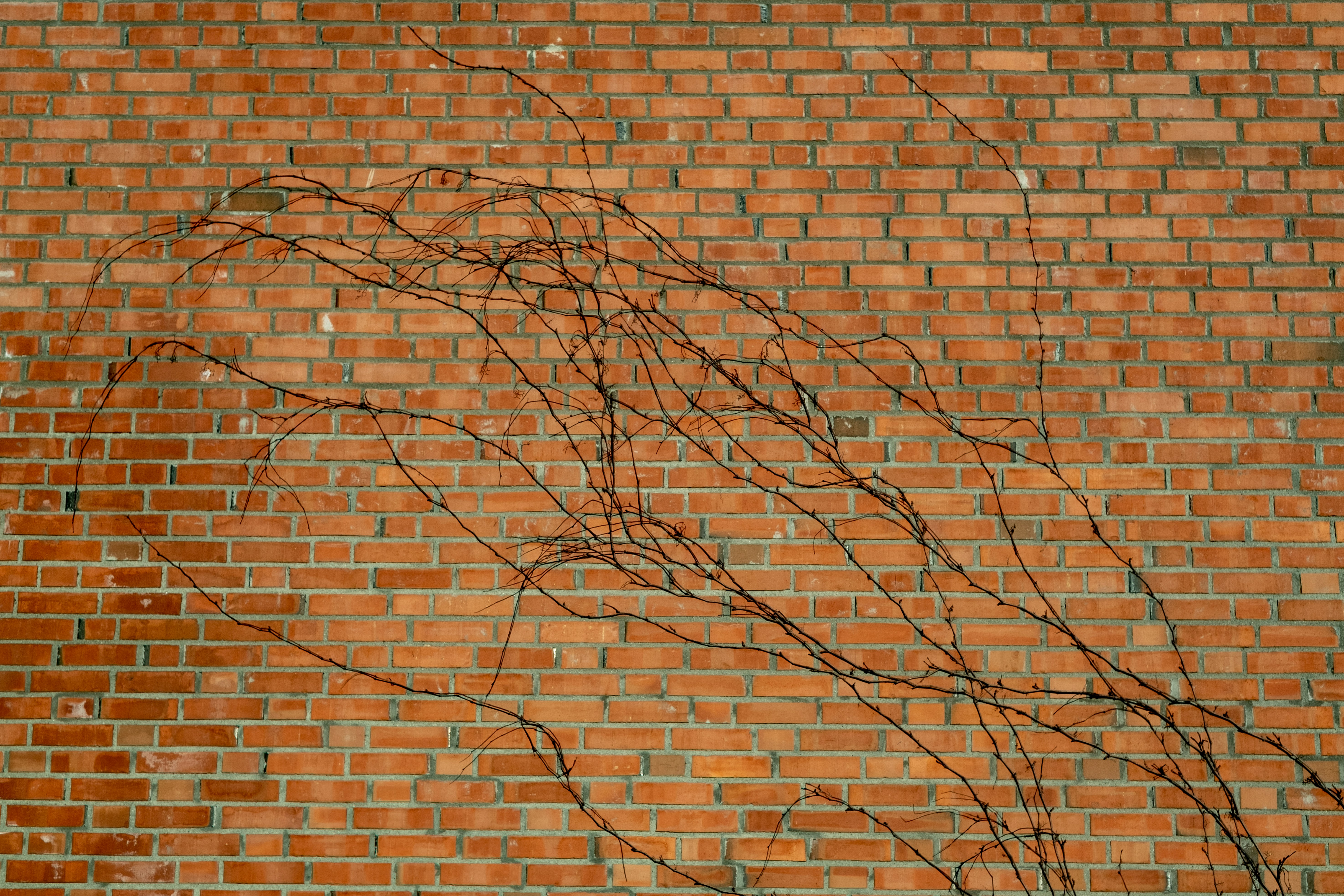 Photo by davotibarna