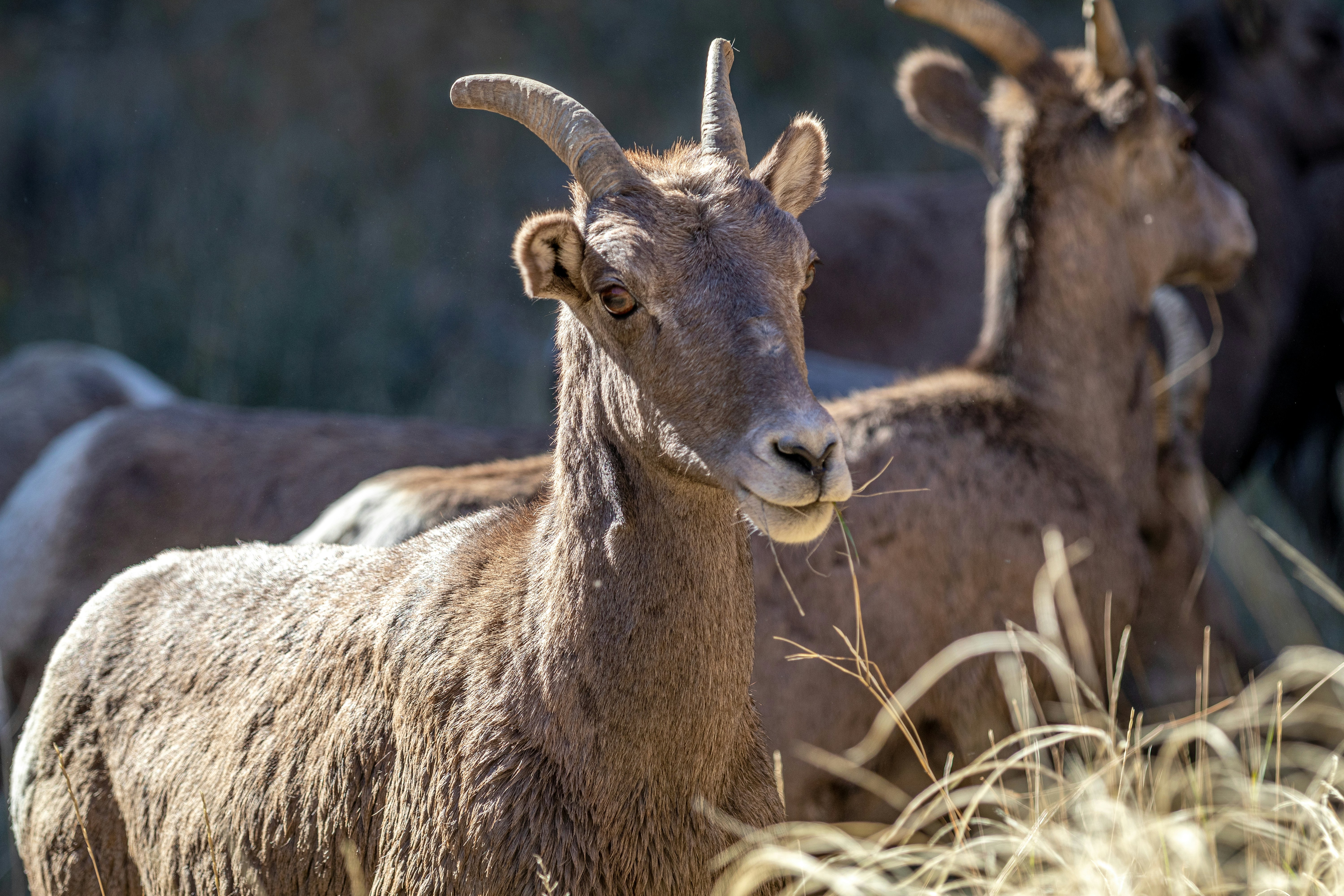 Photo by benoitphoto