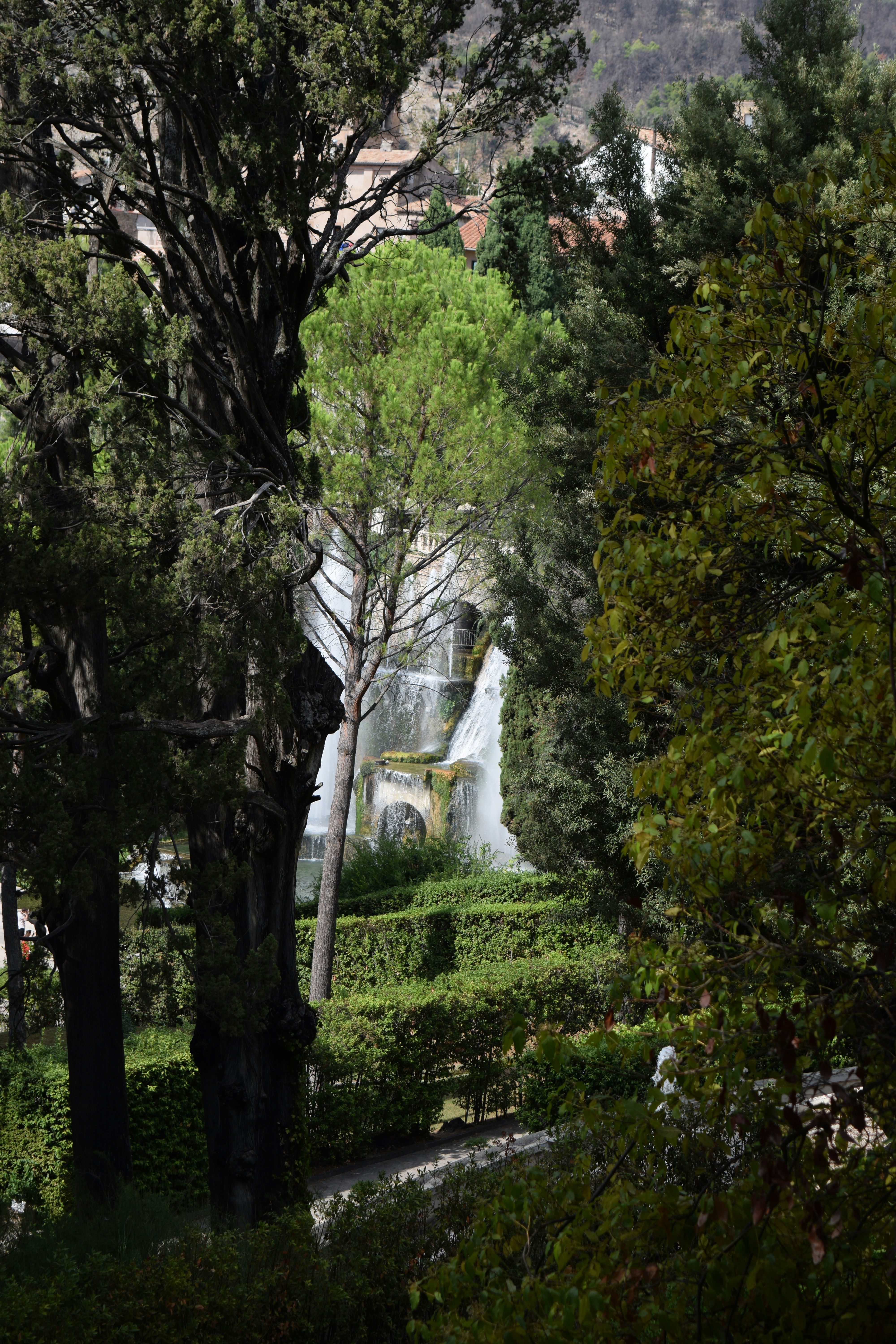 Photo by gabrieltamblin