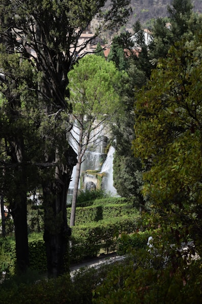 a large white building surrounded by trees