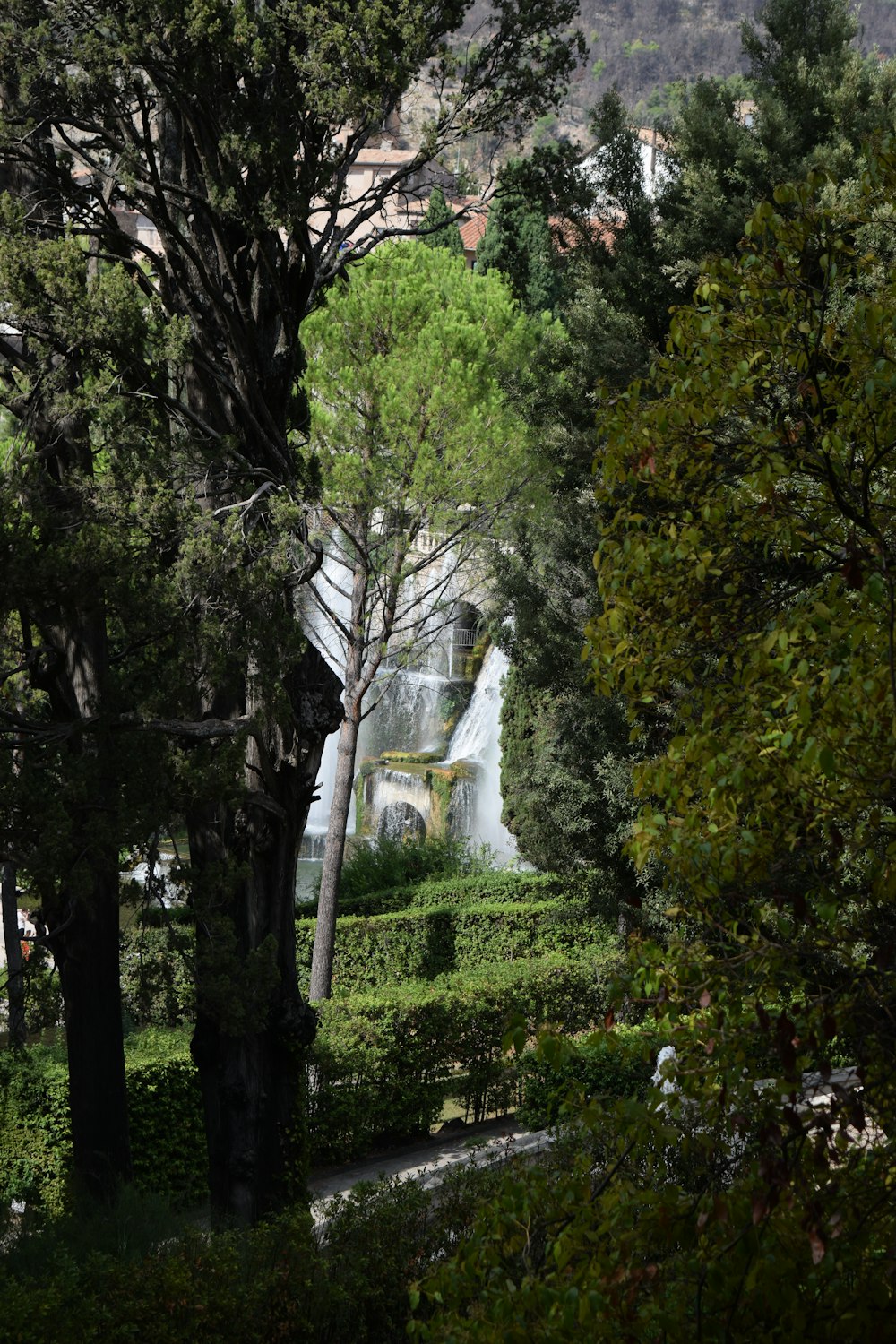 a large white building surrounded by trees
