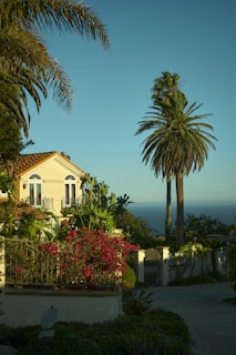 a house with palm trees and a body of water in the background