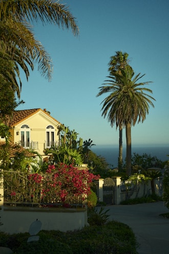 a house with palm trees and a body of water in the background