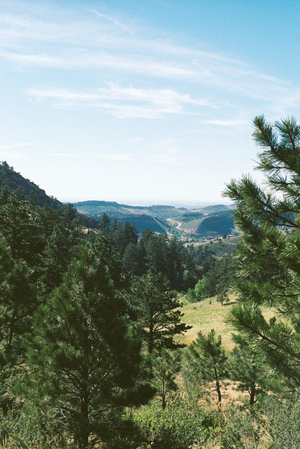 a landscape with trees and hills