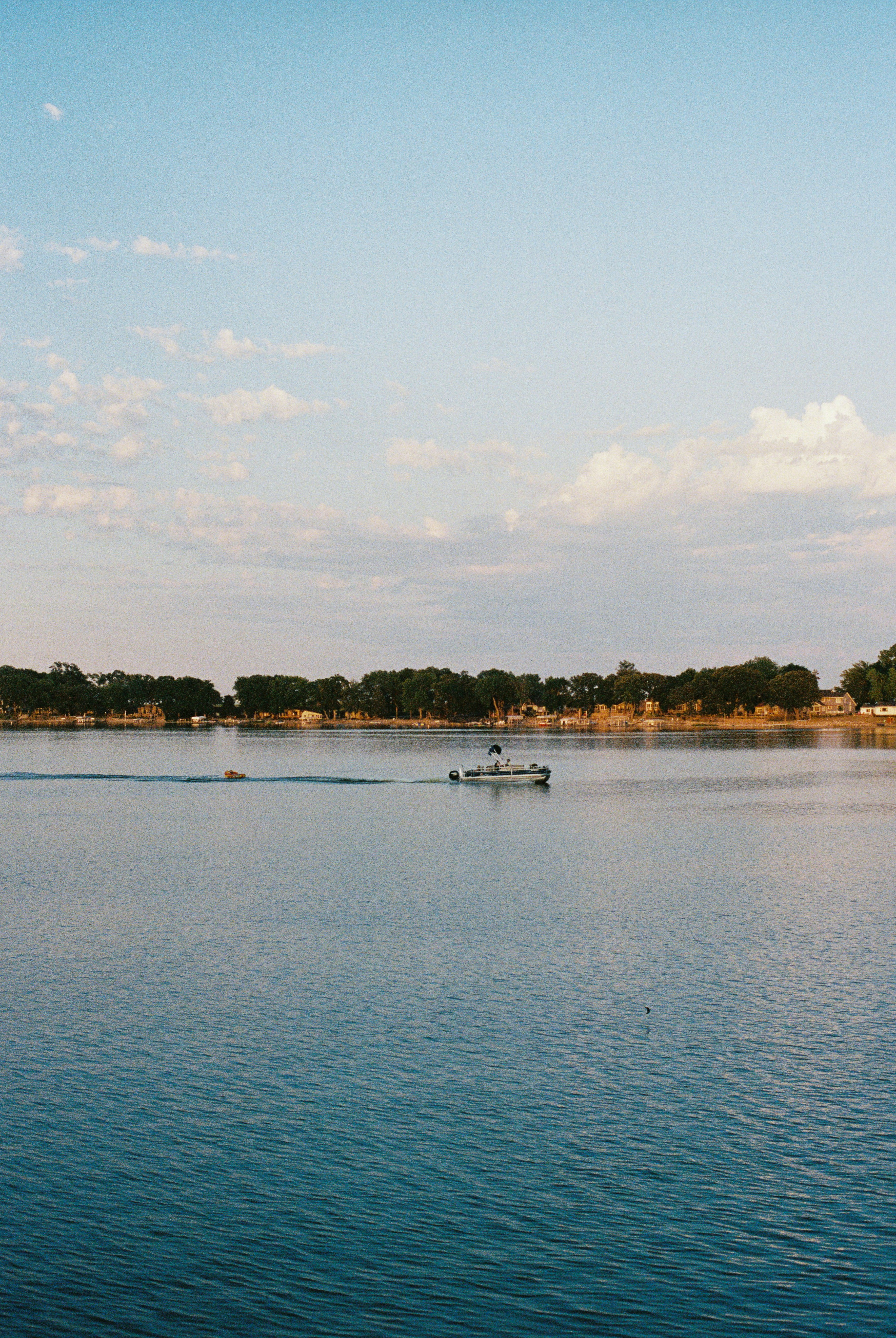 Photo by davispatton