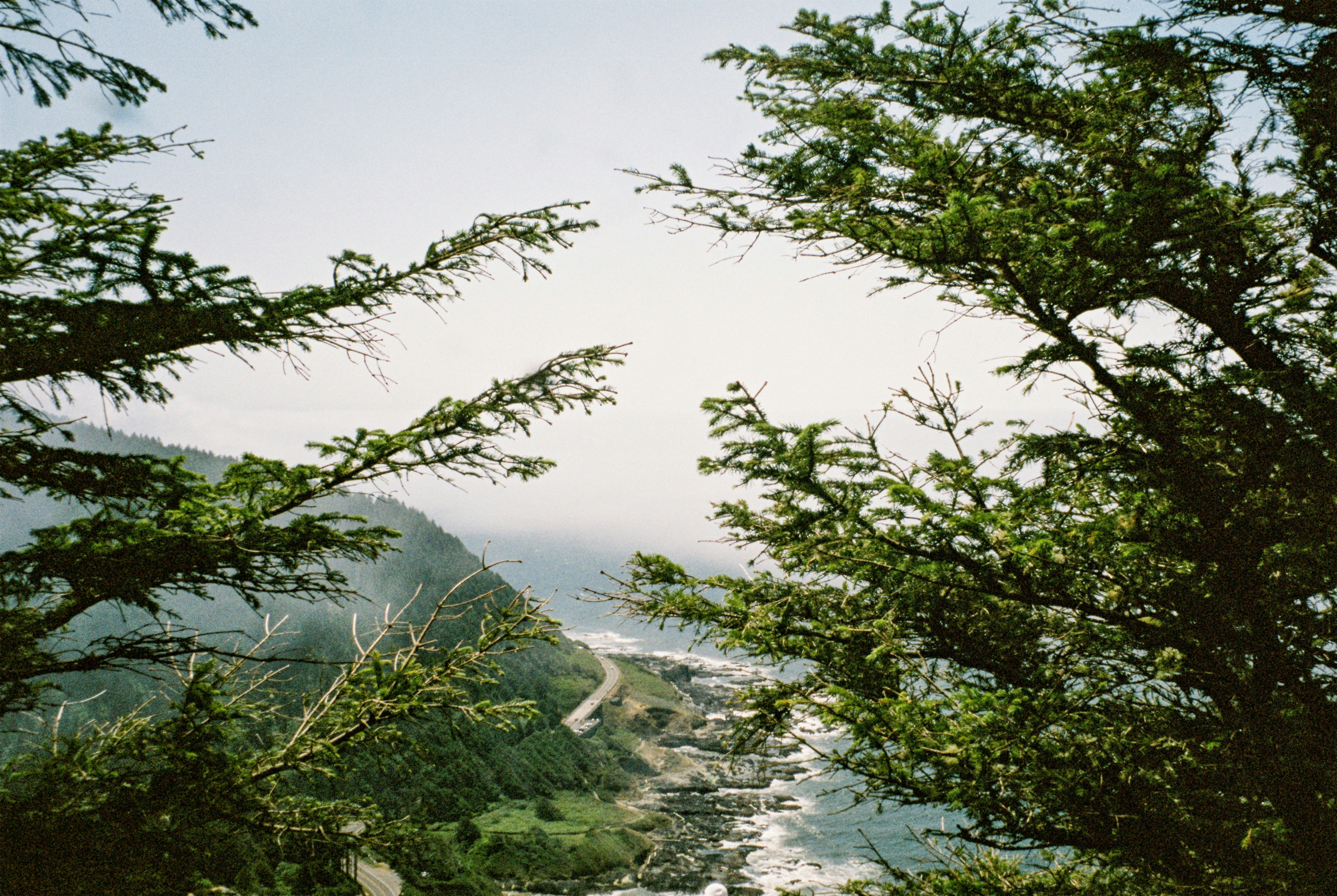 a river with trees on the side