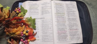 a book with a picture of grapes and a basket of grapes