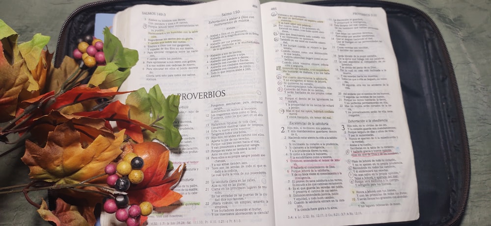 a book with a picture of grapes and a basket of grapes