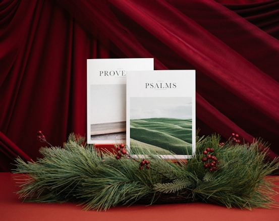Two books with the titles 'Proverbs' and 'Psalms' are positioned upright on a surface adorned with green pine branches and red berries. The background consists of rich maroon drapery.
