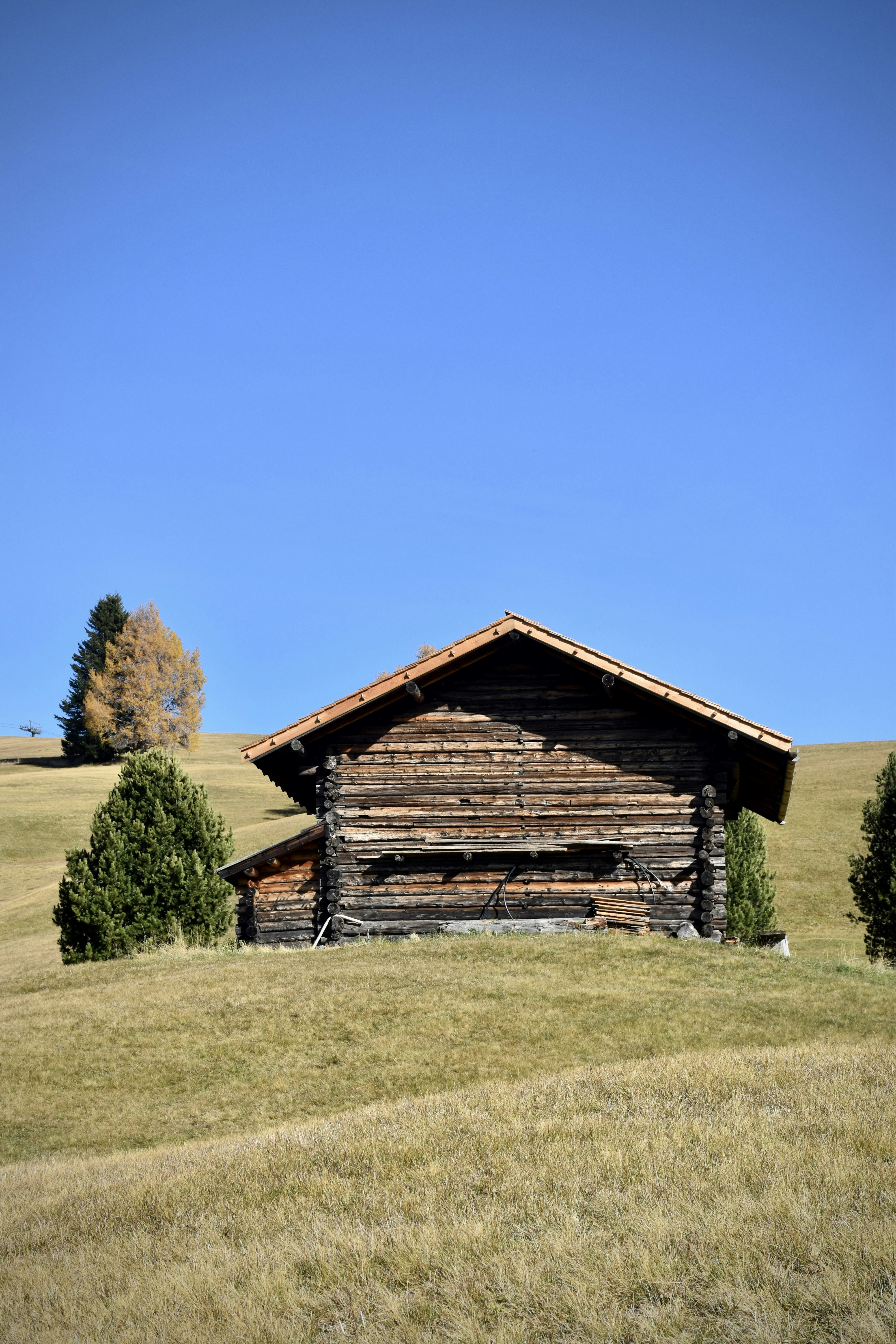 Photo by arnosenoner