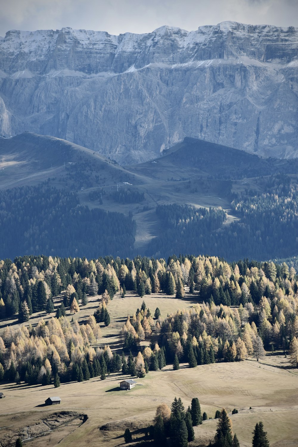 a valley with trees and mountains in the background