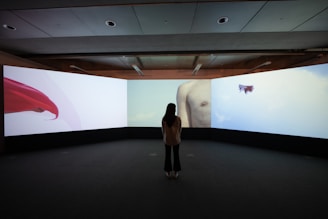A person is standing in a dark room facing multiple large screens displaying abstract images, including a red cloth, a partial image of a human torso, and a small object or scene in the sky.