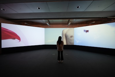 A person is standing in a dark room facing multiple large screens displaying abstract images, including a red cloth, a partial image of a human torso, and a small object or scene in the sky.