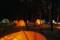 A nighttime scene of multiple igloos lit up, creating a magical atmosphere in an outdoor venue.