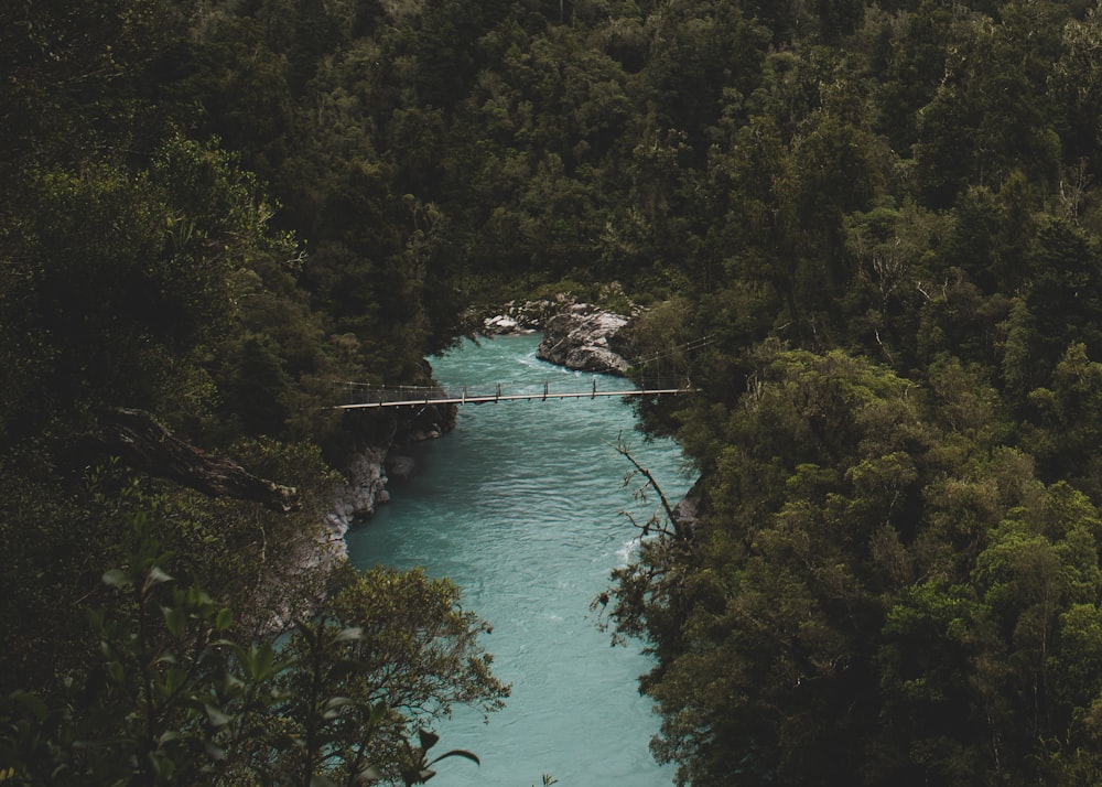 a body of water surrounded by trees