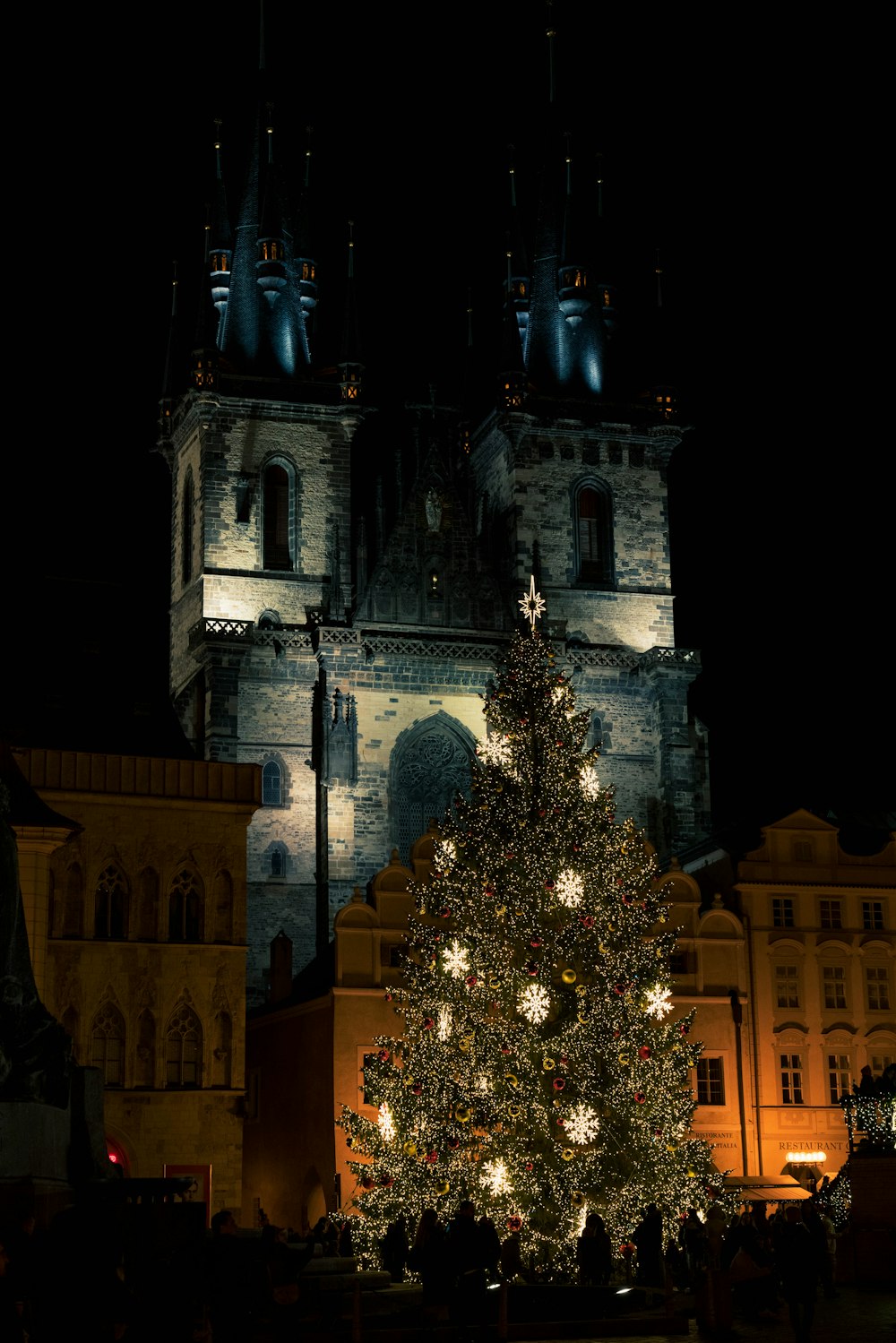 a large tree with lights in front of a building