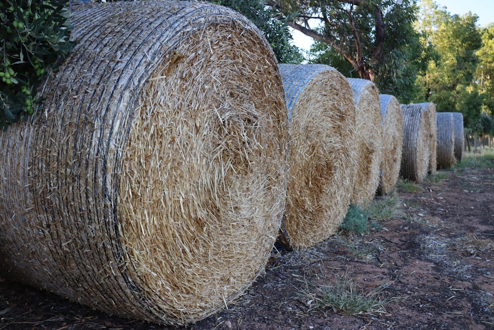 a group of large round objects