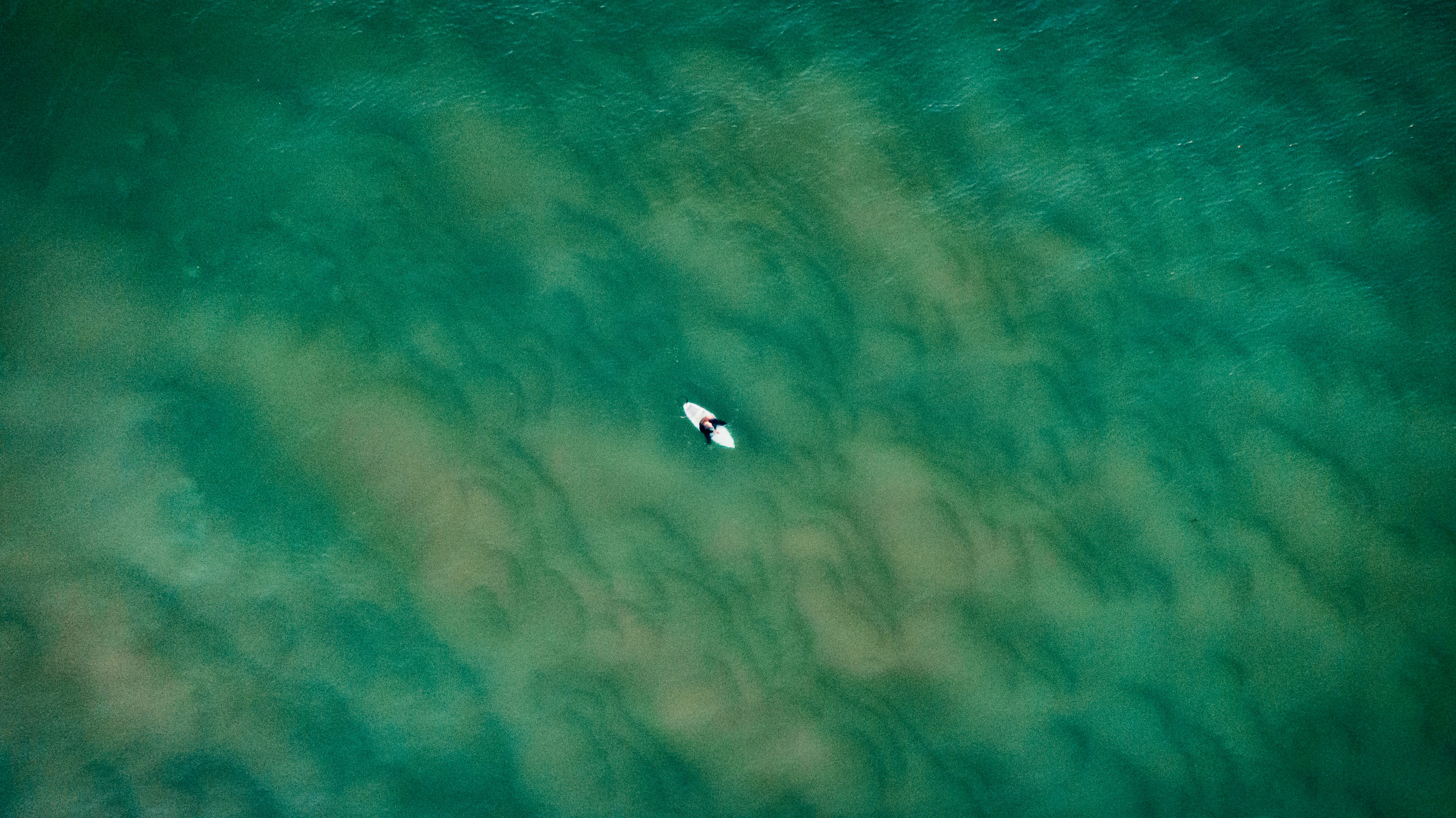 Photo by rennielachlan