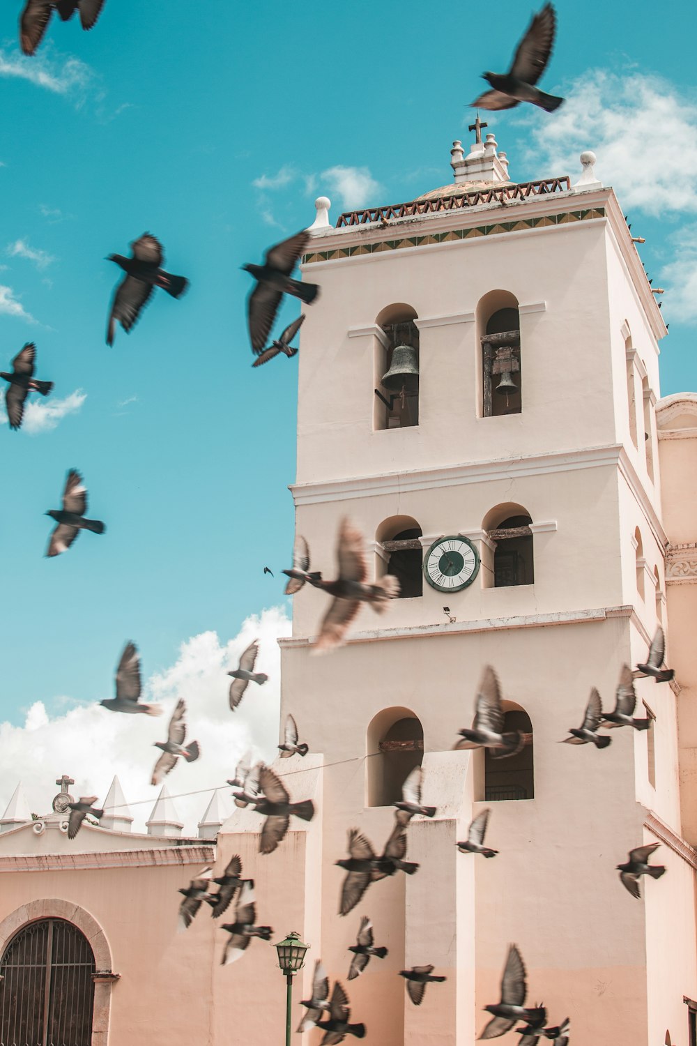 birds flying around a building
